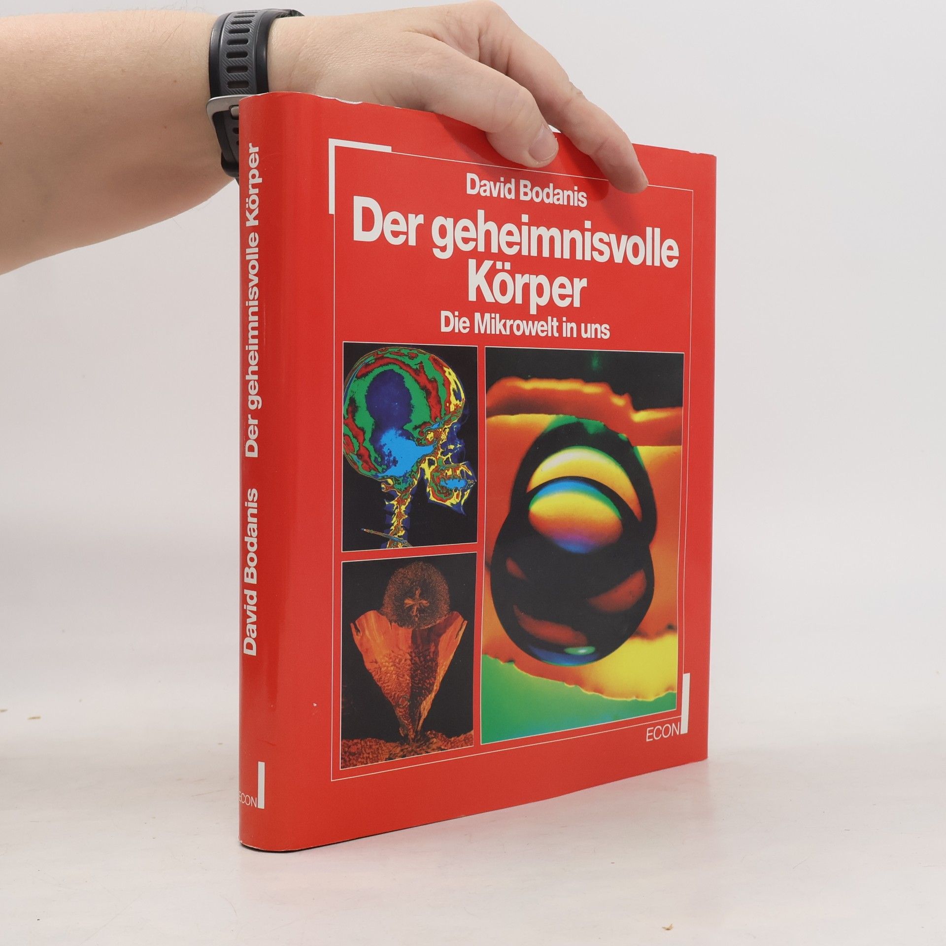 David Bodanis Der geheimnisvolle Körper