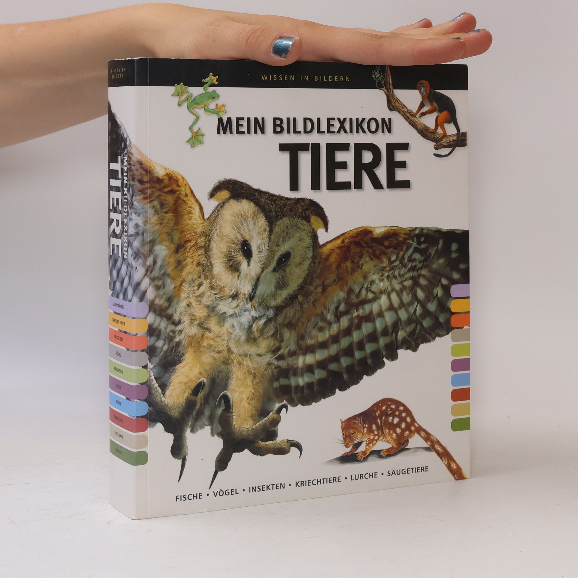 Autorenkollektiv Mein Bildlexikon Tiere