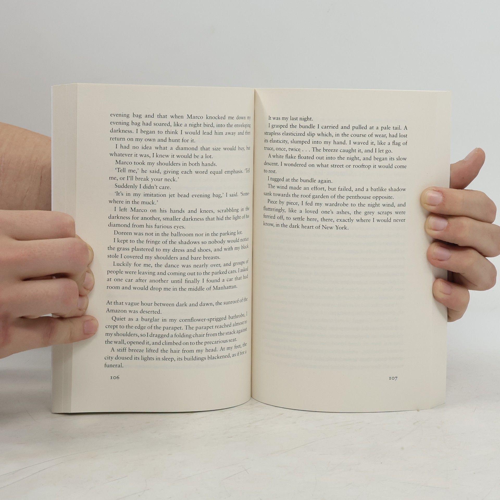 Sylvia Plath The Bell Jar