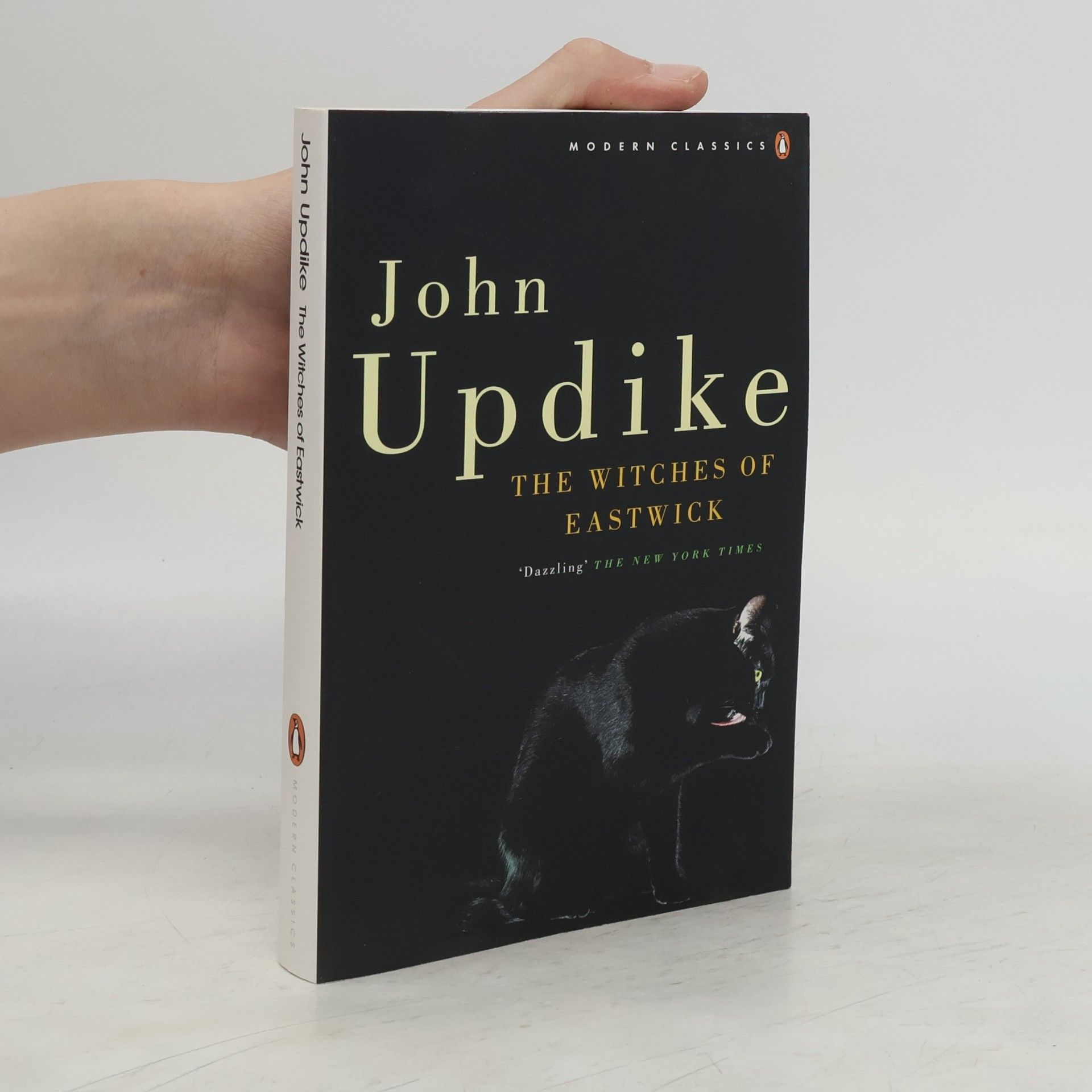 John Updike The Witches of Eastwick