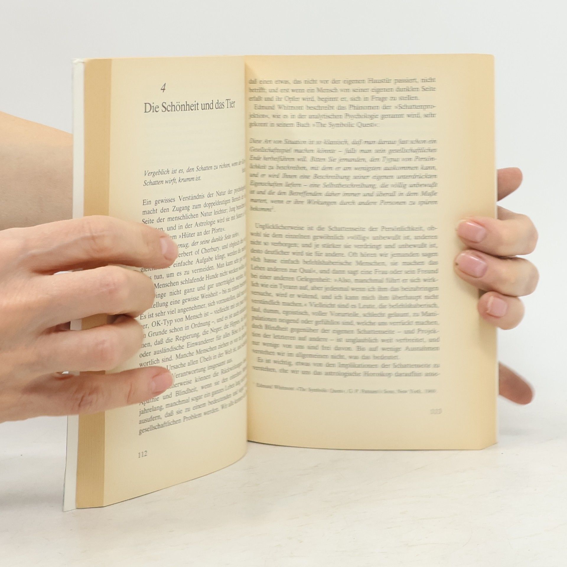 Liz Greene Kosmos und Seele
