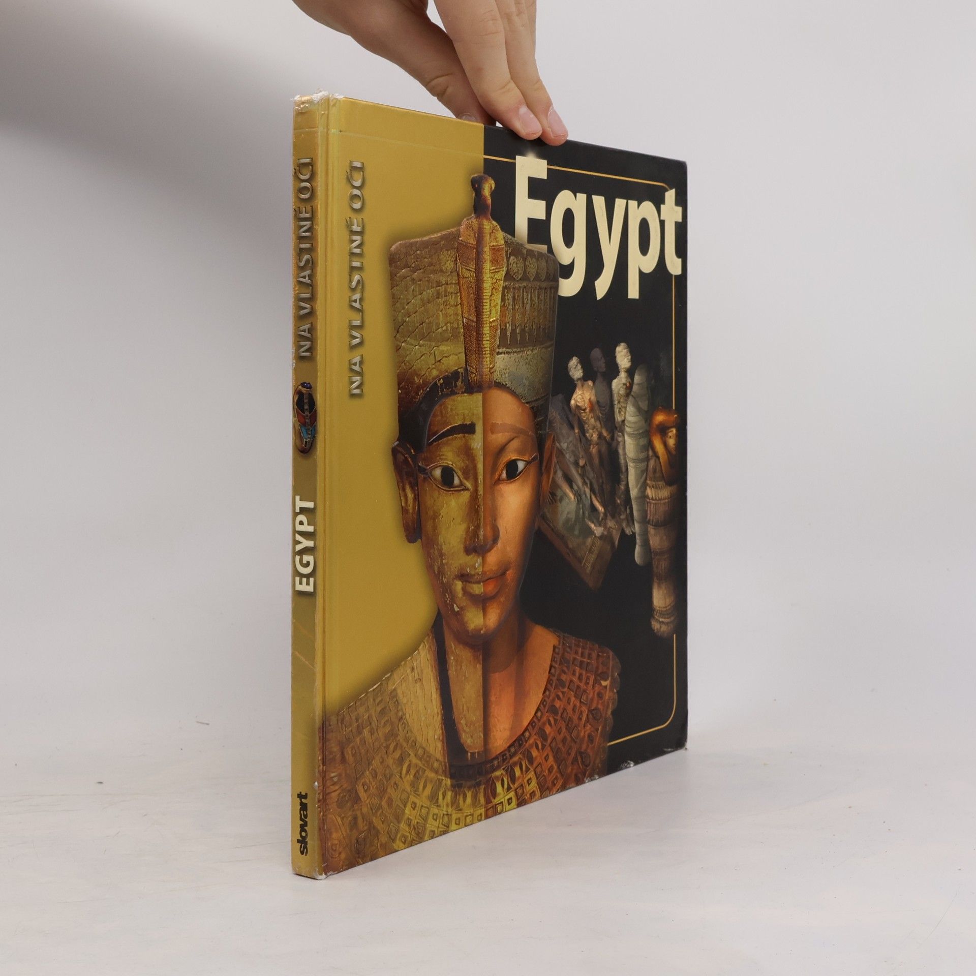 Joyce Tyldesley Egypt. Na vlastné oči