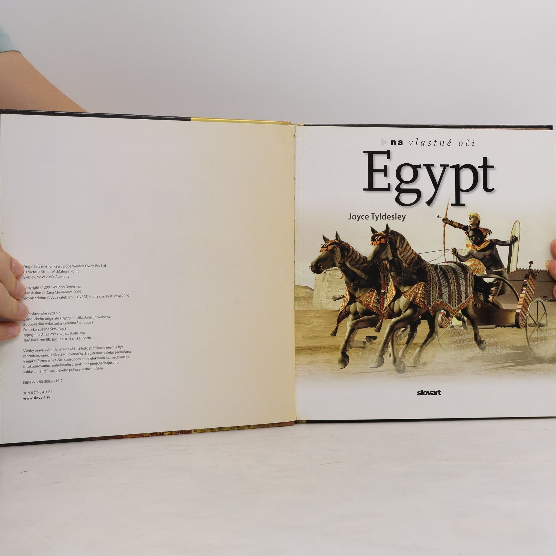 Joyce Tyldesley Egypt. Na vlastné oči