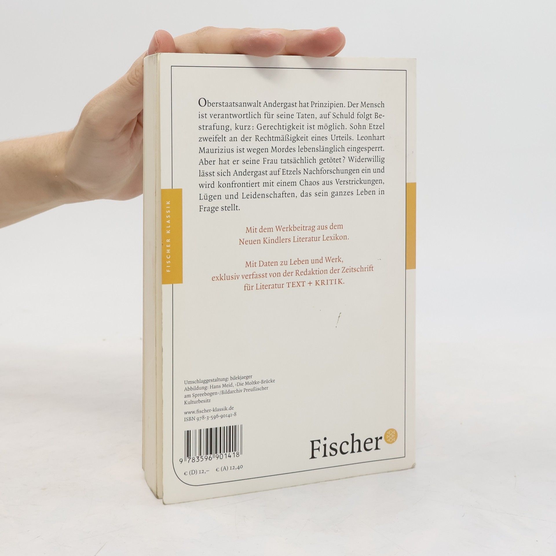 Jakob Wassermann Fischer Klassik: Der Fall Maurizius