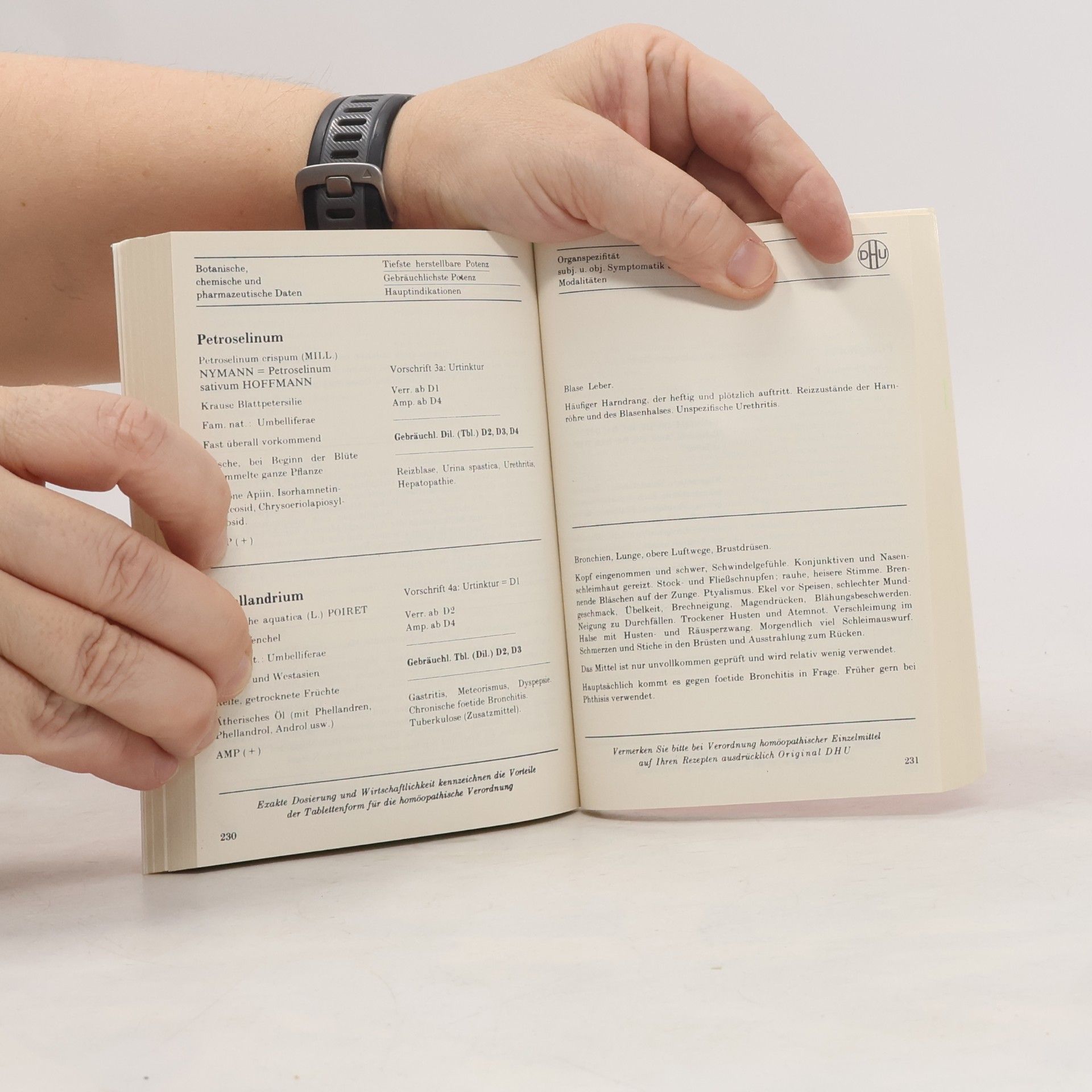 Autorenkollektiv Homöopathisches Repetitorium