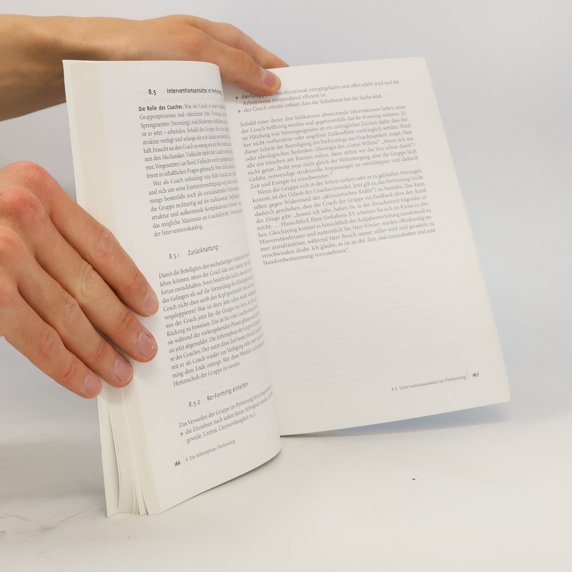Stahl Dynamik in Gruppen - Handbuch der Gruppenleitung