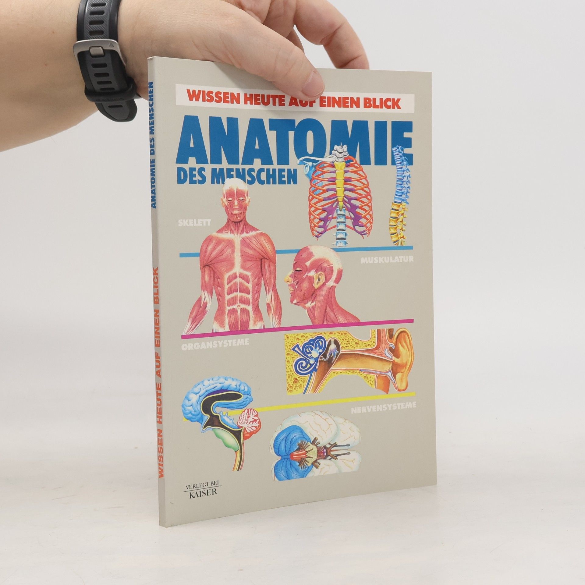 Autorenkollektiv Anatomie des menschen
