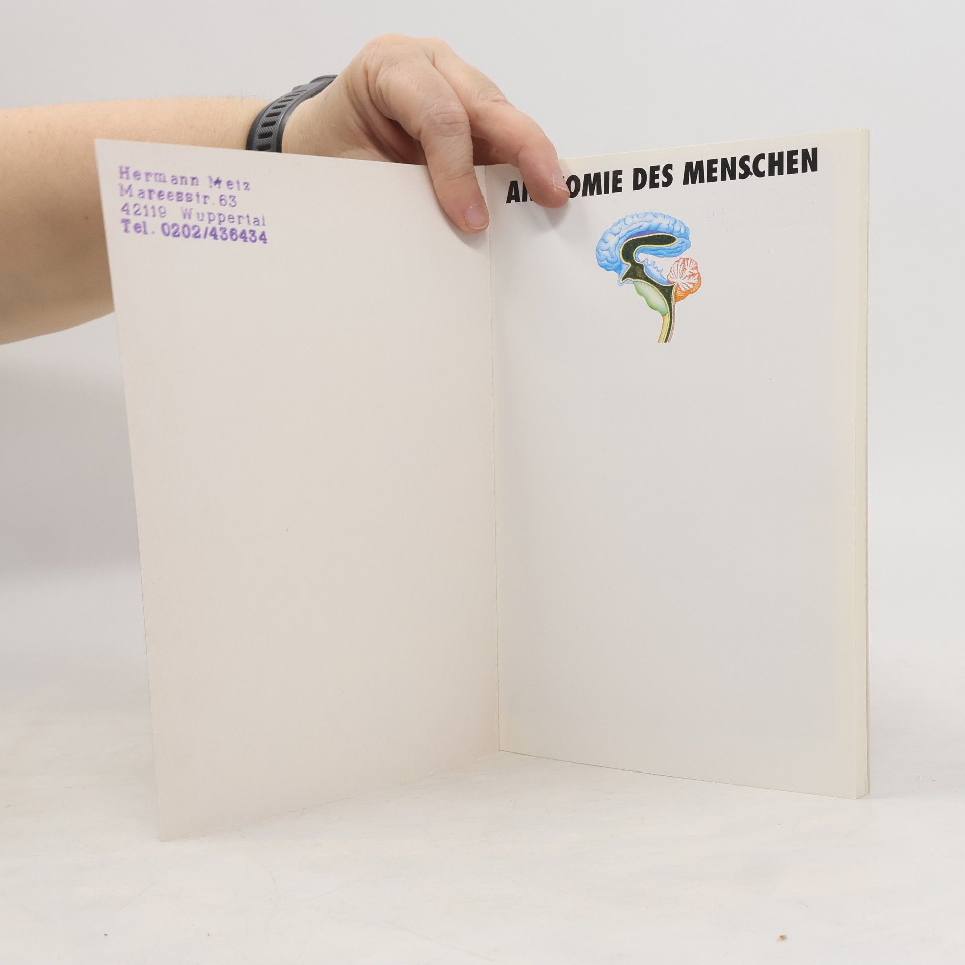 Autorenkollektiv Anatomie des menschen