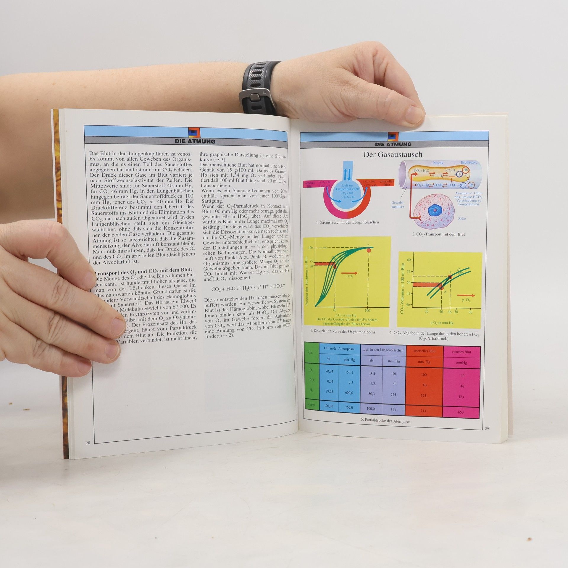 Kolektiv autorů Physiologie des Menschen