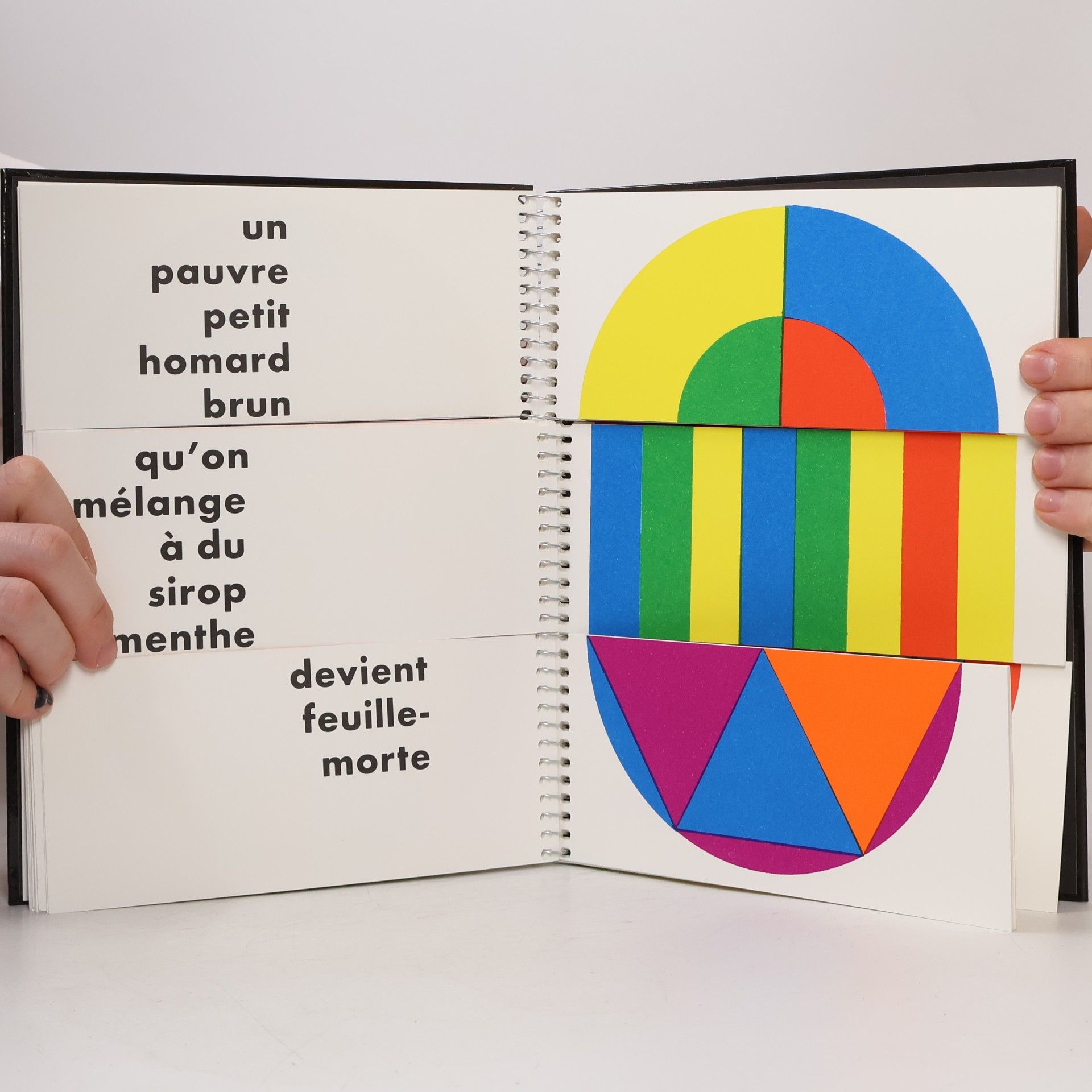 Patrick Raynaud 13824 jeux de couleurs, de formes et de mots