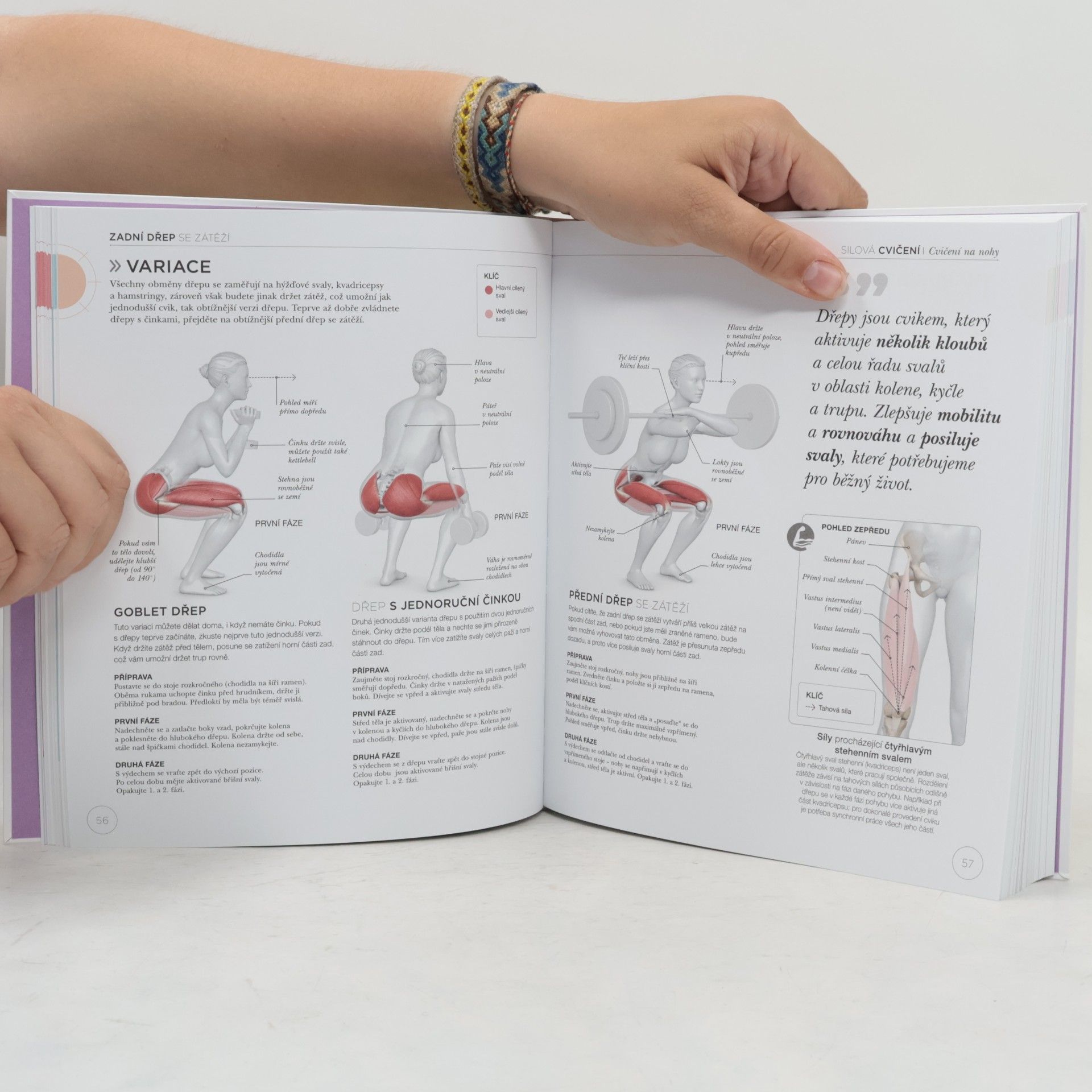 Austin Current Silový trénink z pohledu anatomie : pochopte fungování těla pro lepší a účinnější cvičení