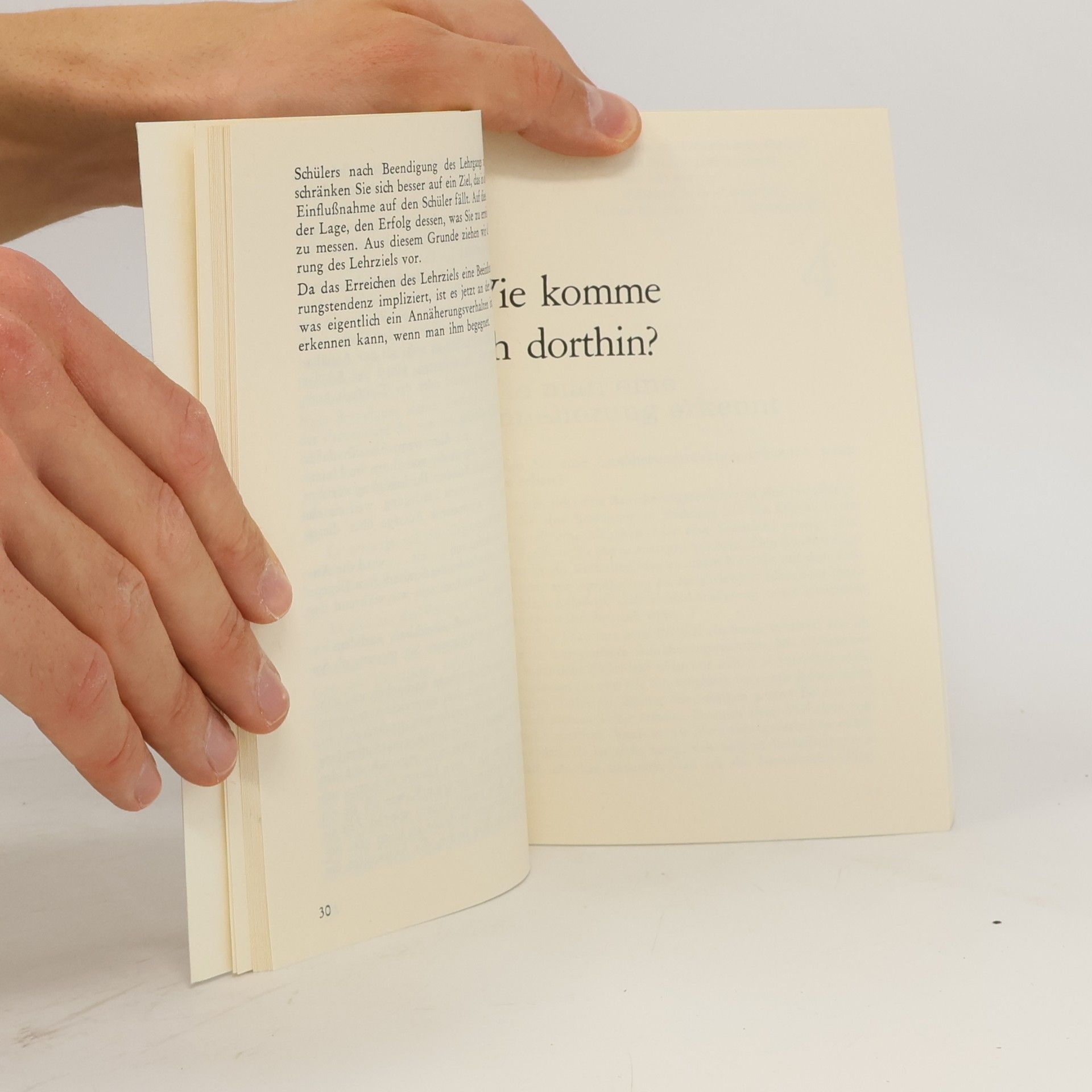 Robert Frank Mager Motivation und Lernerfolg