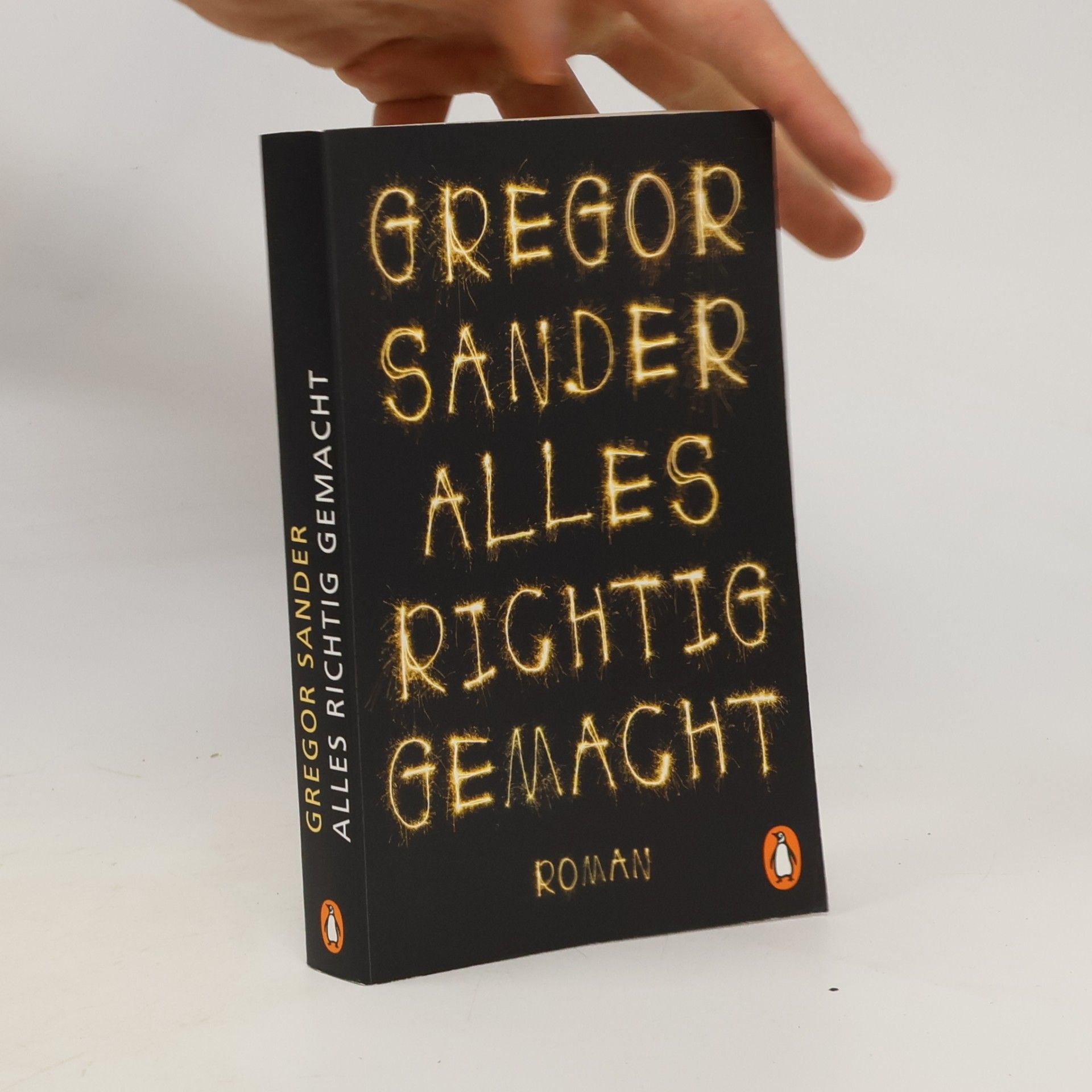 Gregor Sander Alles richtig gemacht