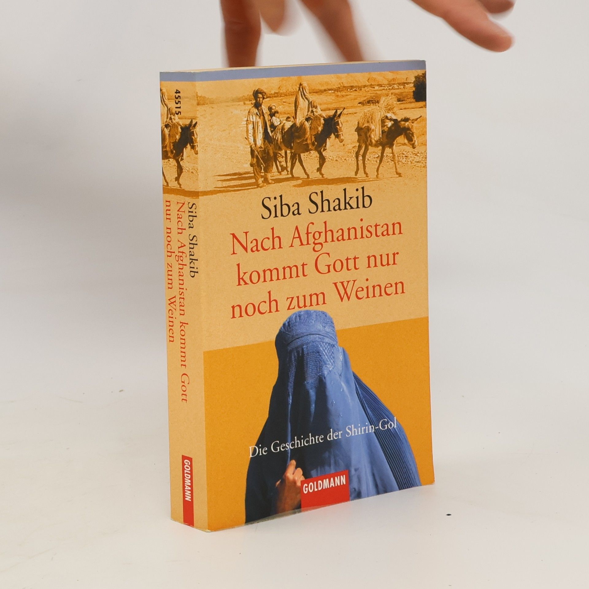 Síba Shakib Nach Afghanistan kommt Gott nur noch zum Weinen