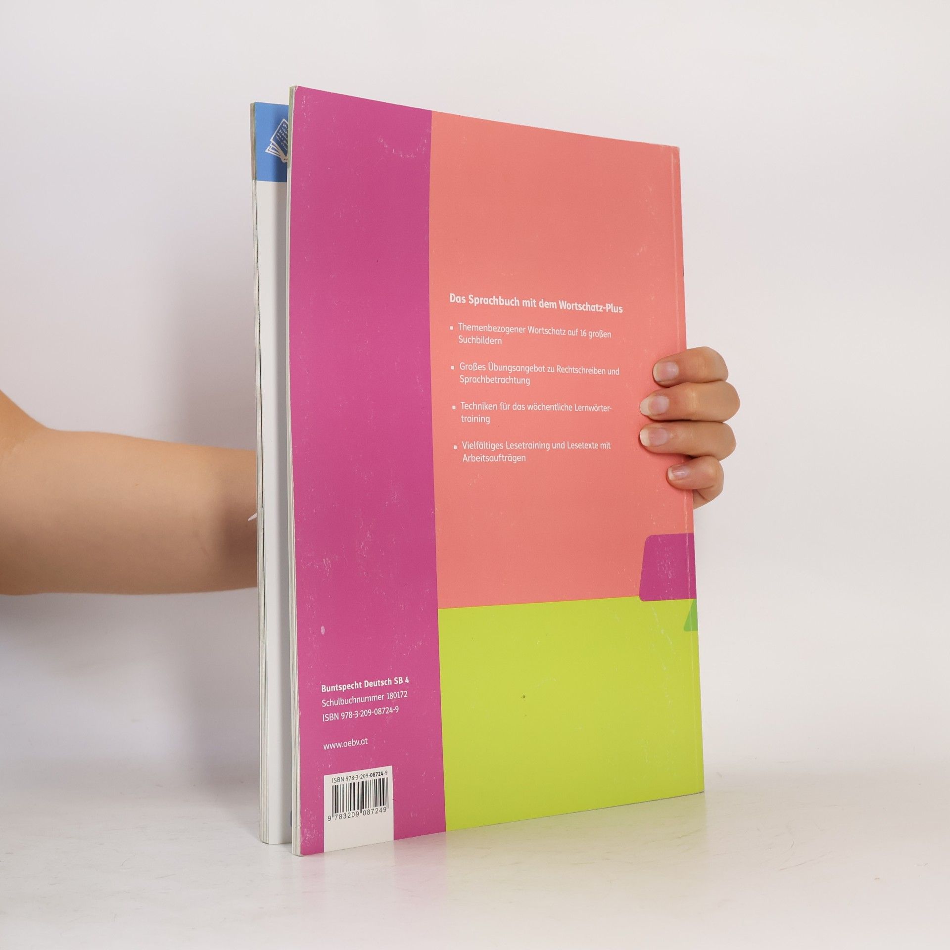 Autorenkollektiv Buntspecht Deutsch 4. Sprachbuch. Teil B.