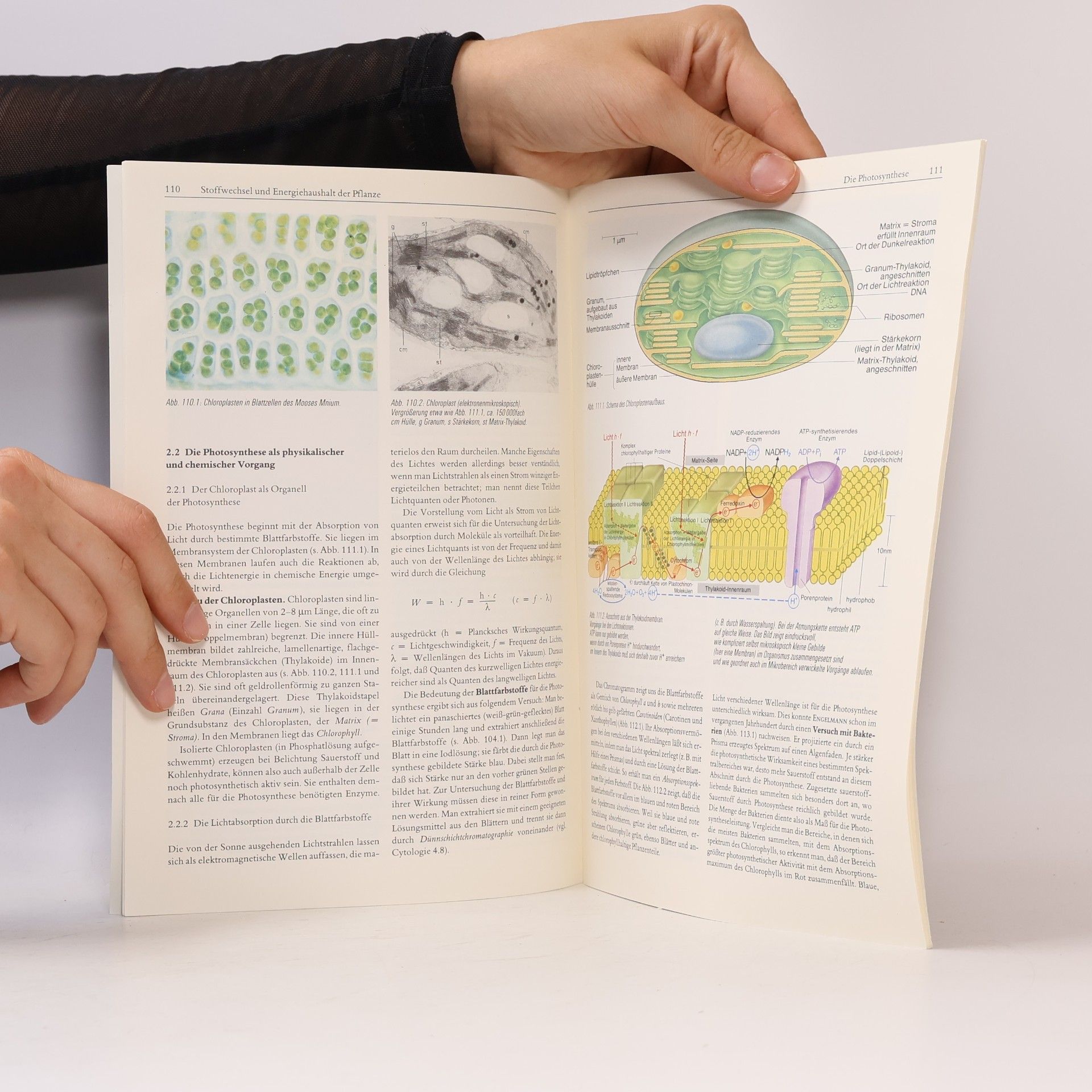 Autores varios Linder Biologie