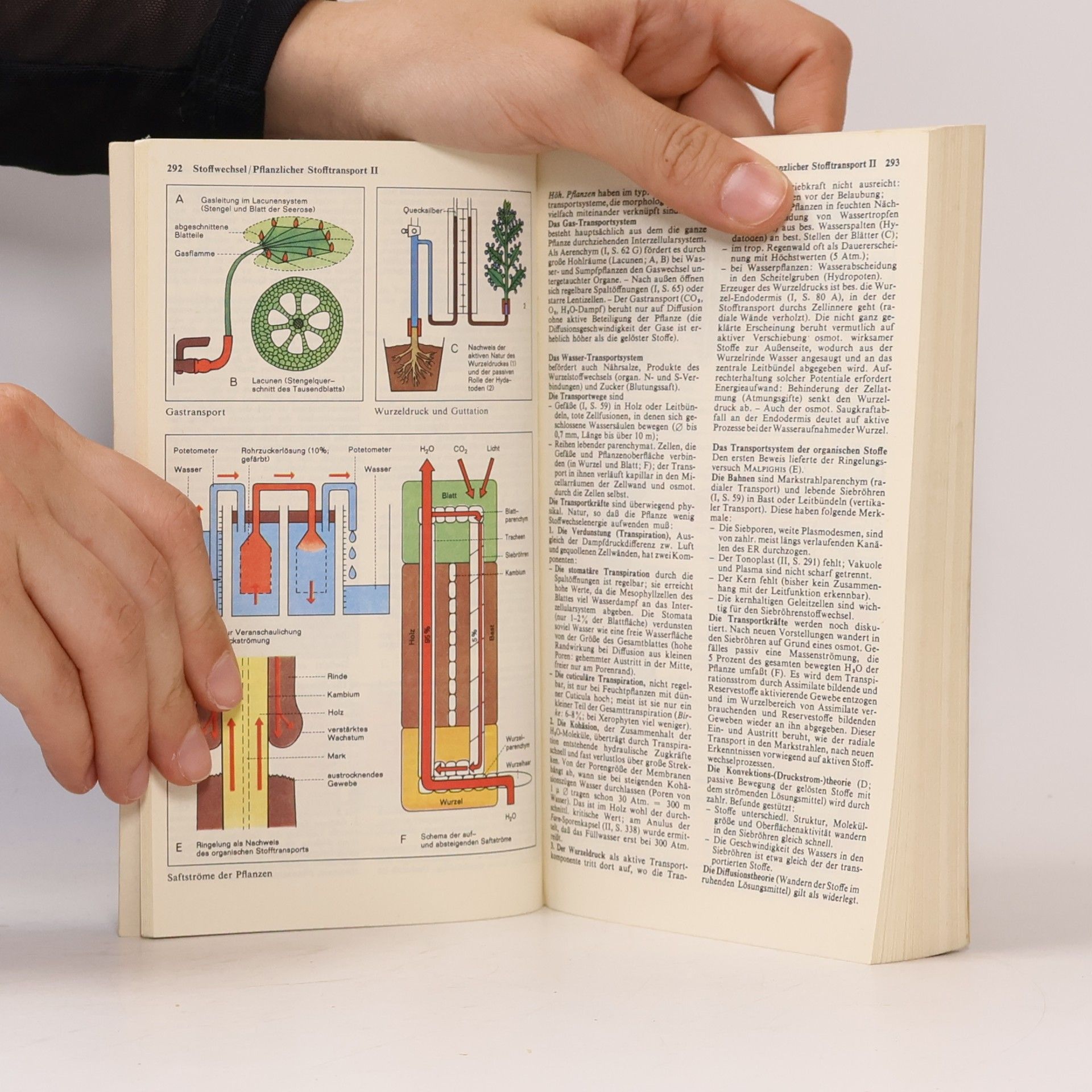 Autorenkollektiv Dtv-Atlas zur Biologie. Band 2