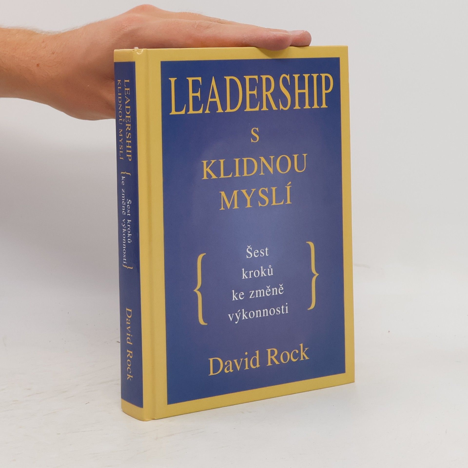 David Rock Leadership s klidnou myslí