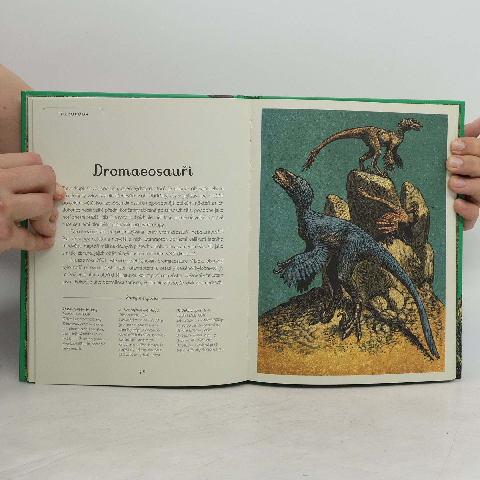 Lily Murray Dinosaurium - pro mladší čtenáře