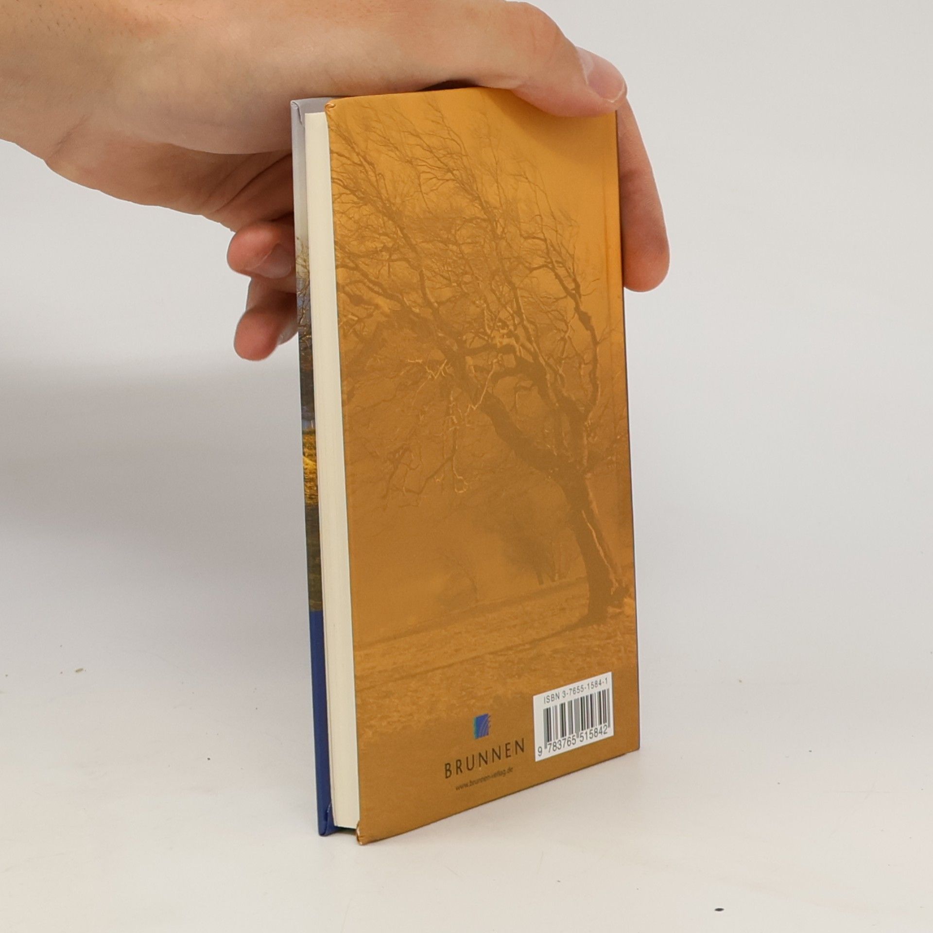 Dietrich Bonhoeffer Die Psalmen - das Gebetbuch der Bibel