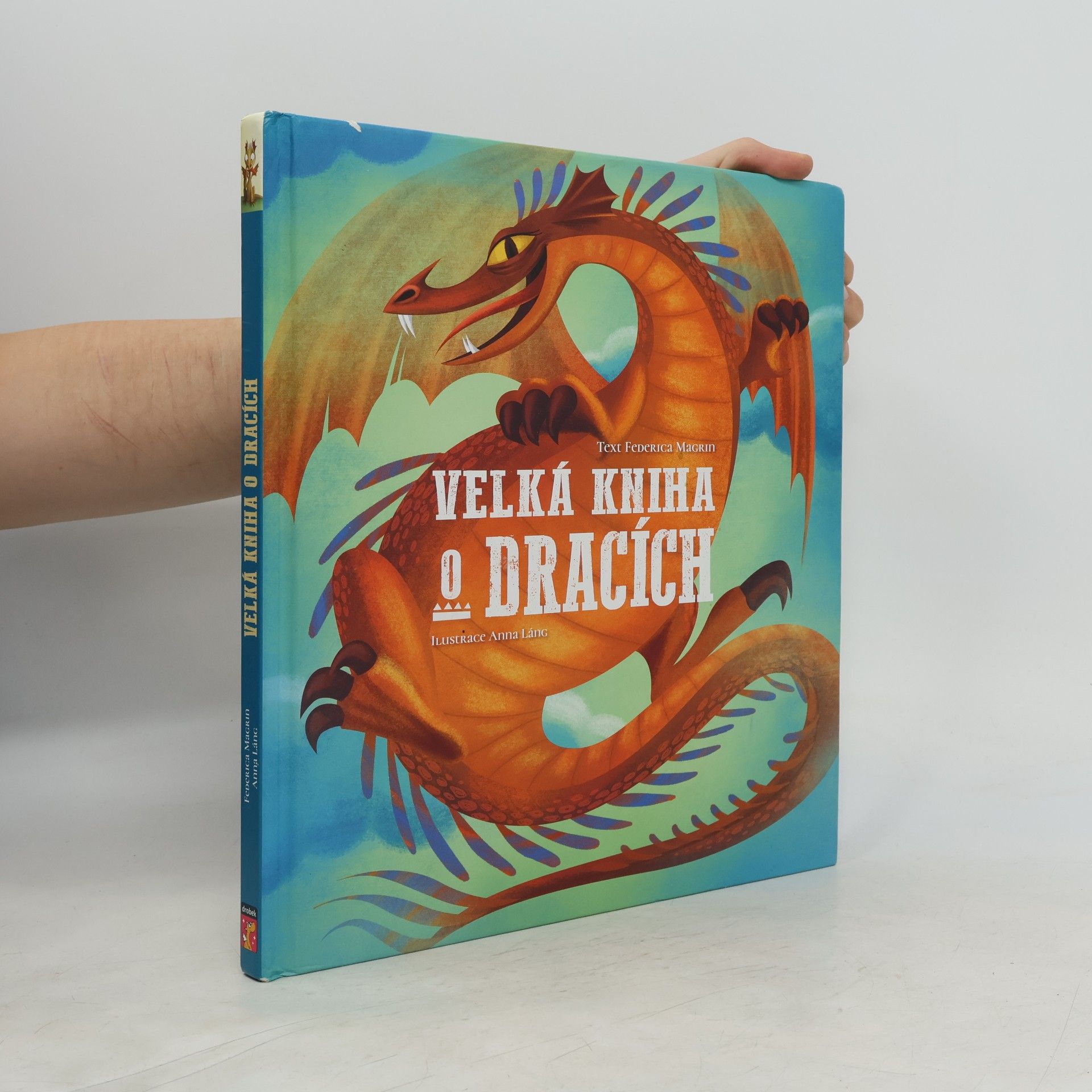 Federica Magrin Velká kniha o dracích