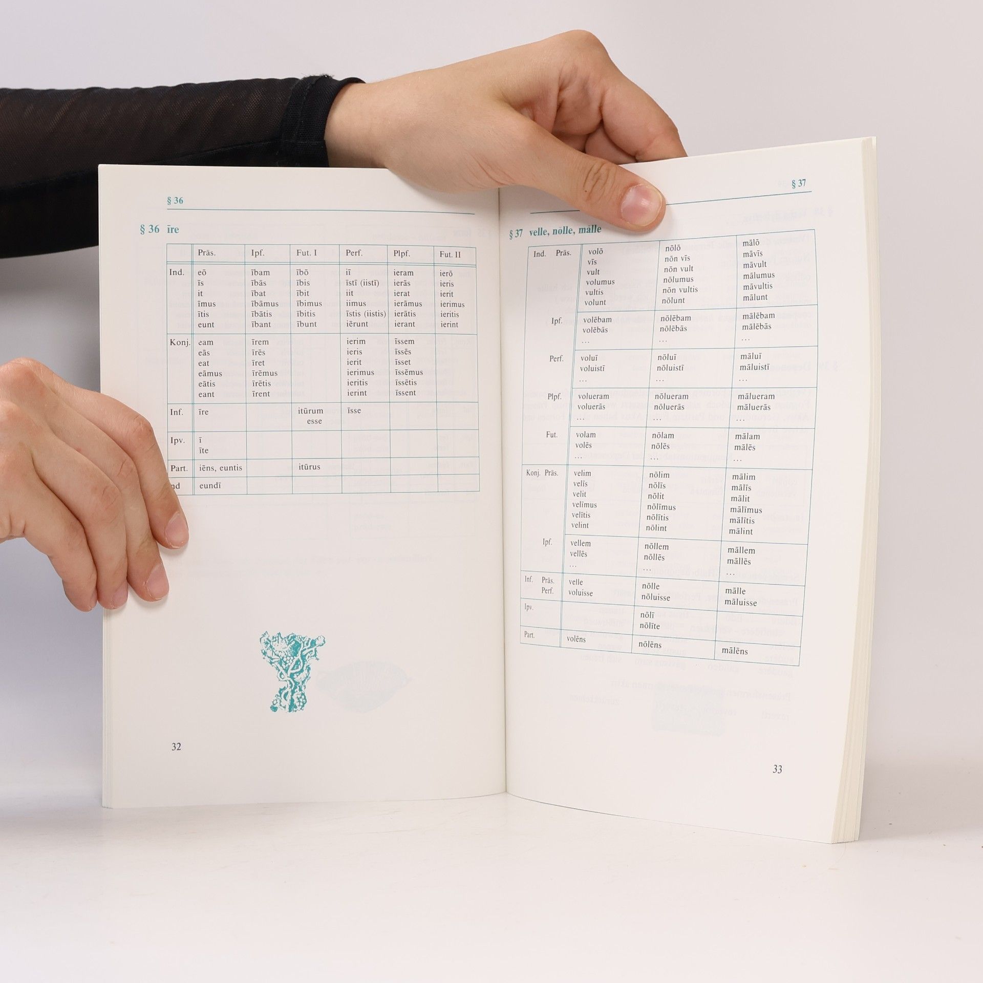 Helmut Schlüter Grammatisches Beiheft
