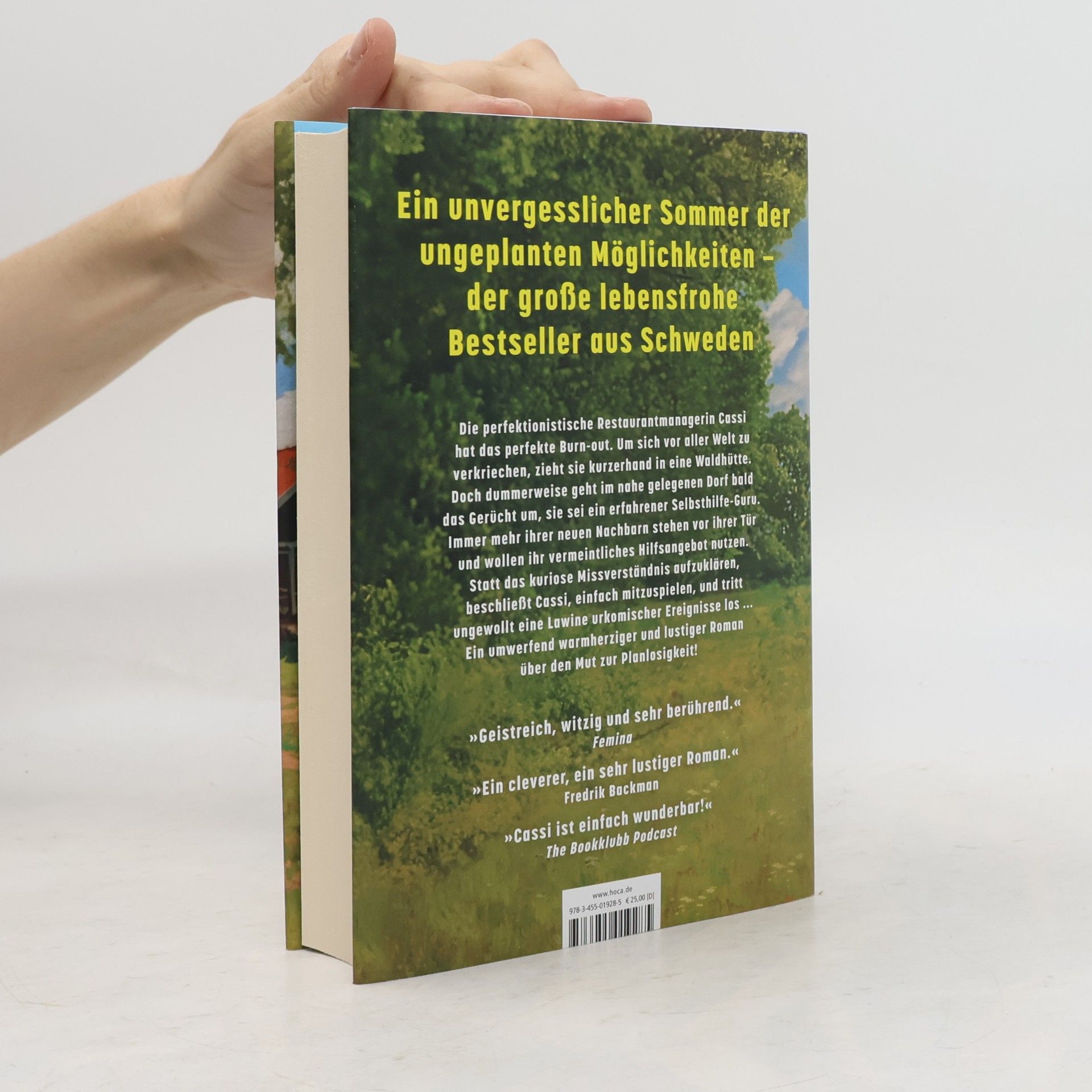 Johanna Swanberg Sommer ohne Plan