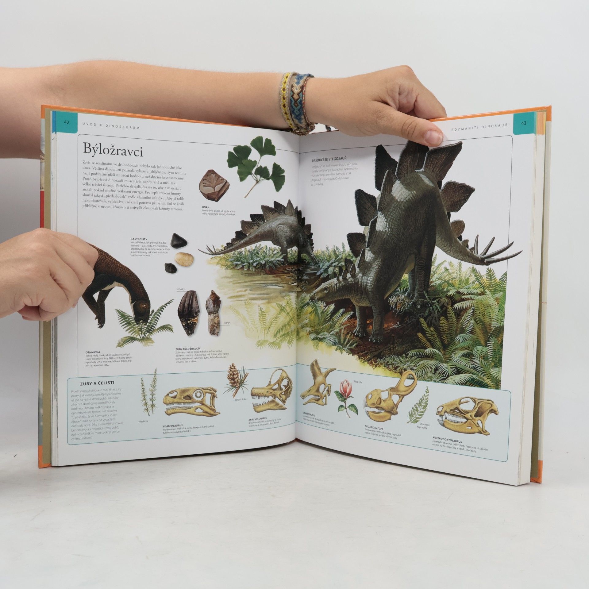 M. K. Brett Surman Dinosauři: Velká dětská encyklopedie