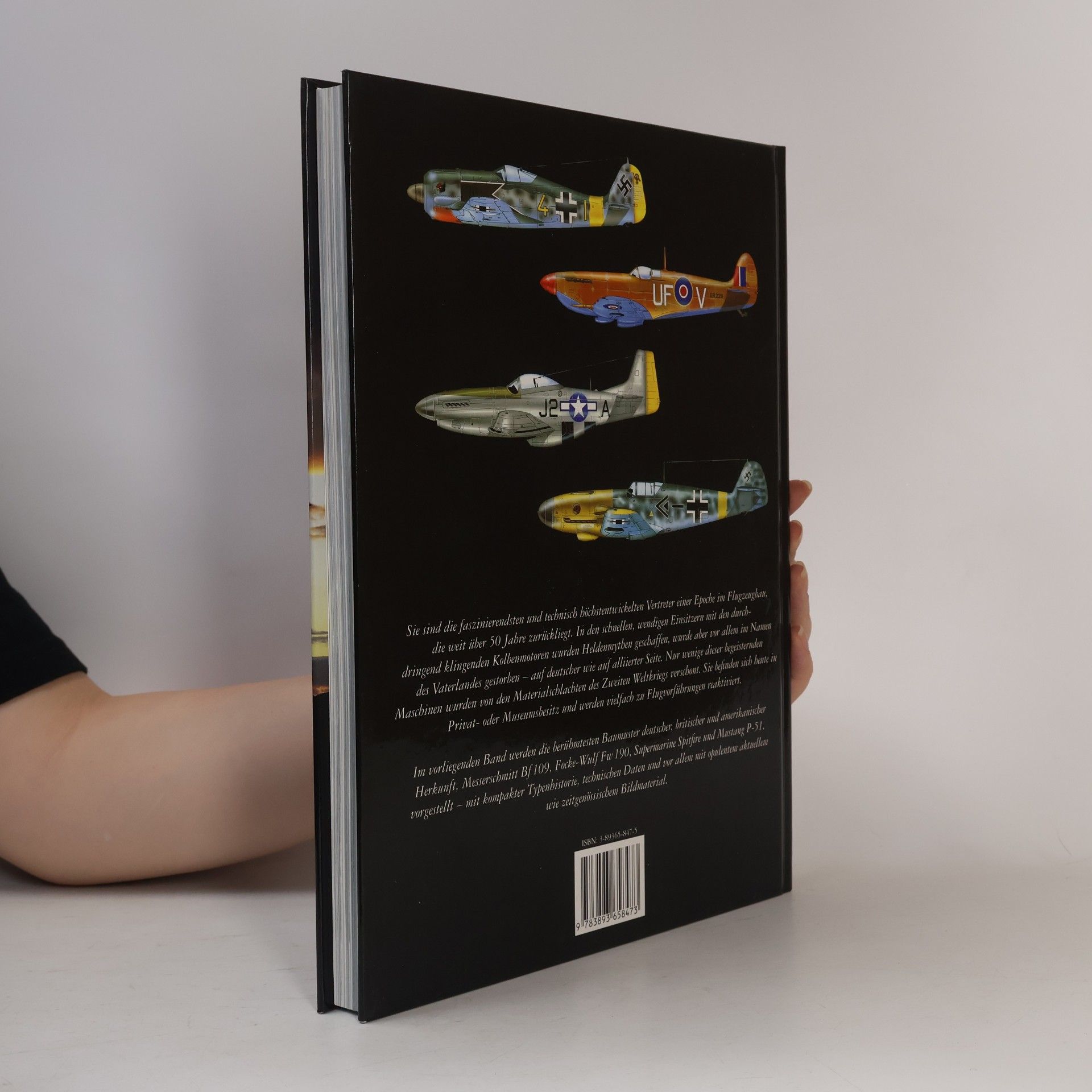 Klassische Jagdflugzeuge