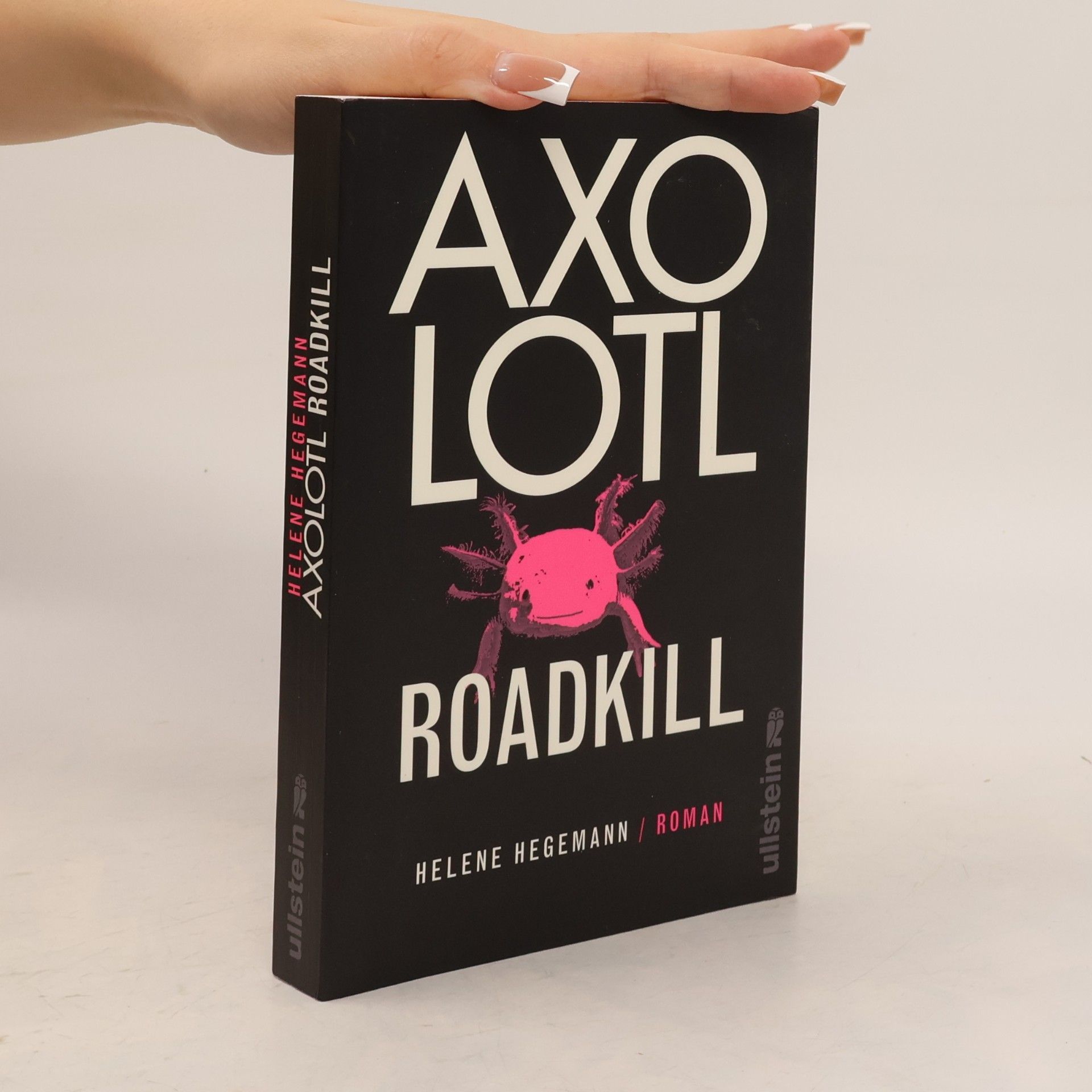Helene Hegemann Axolotl Roadkill : Roman