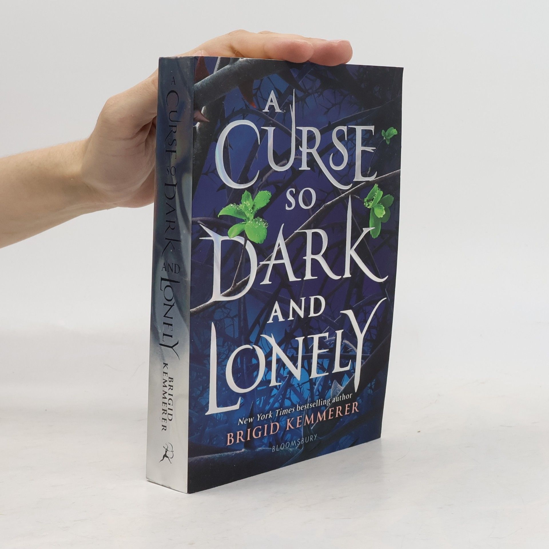 Brigid Kemmerer A curse so dark and lonely (1. díl série)