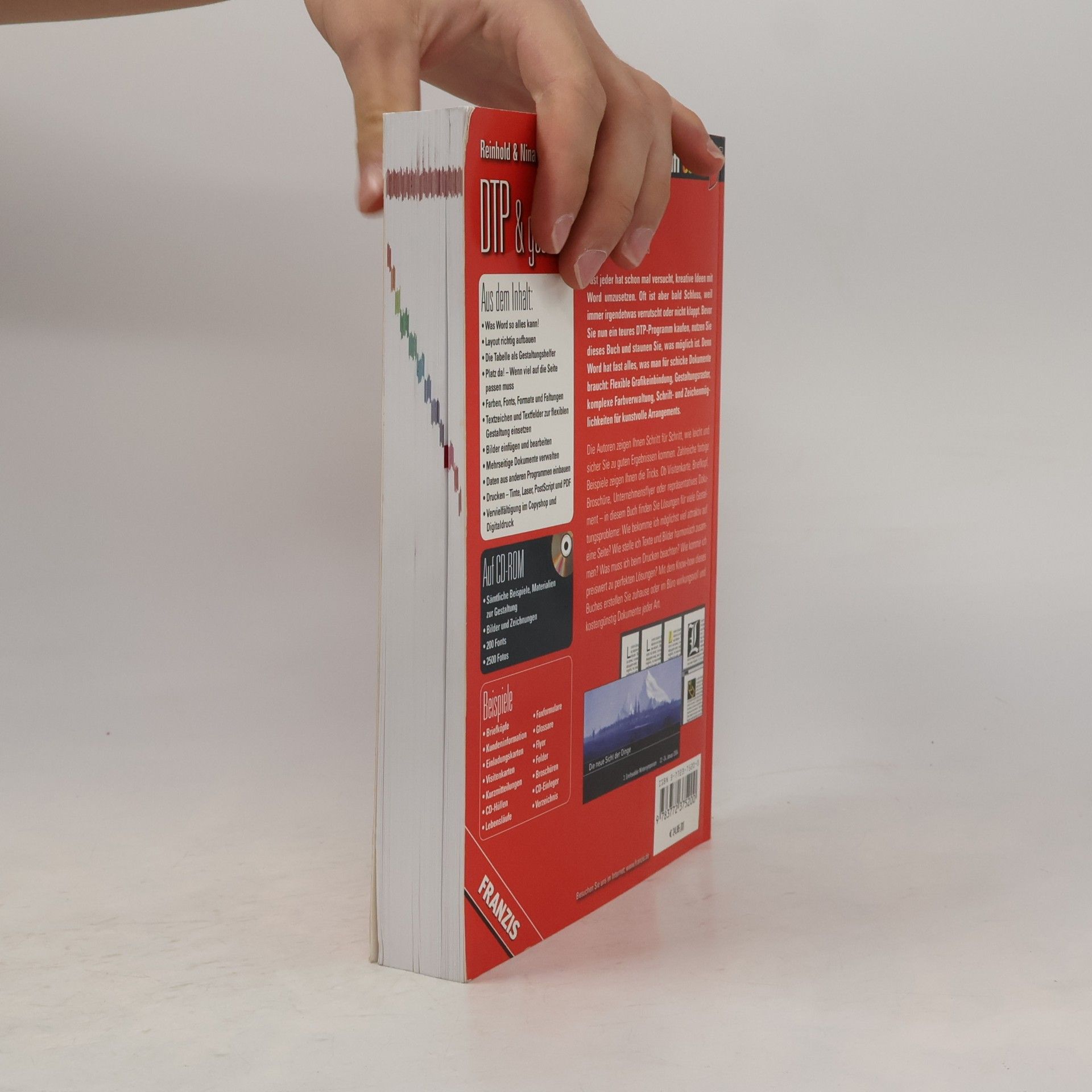 Reinhold Scheck DTP & gestalten mit Word 97, 2000, 2002, 2003