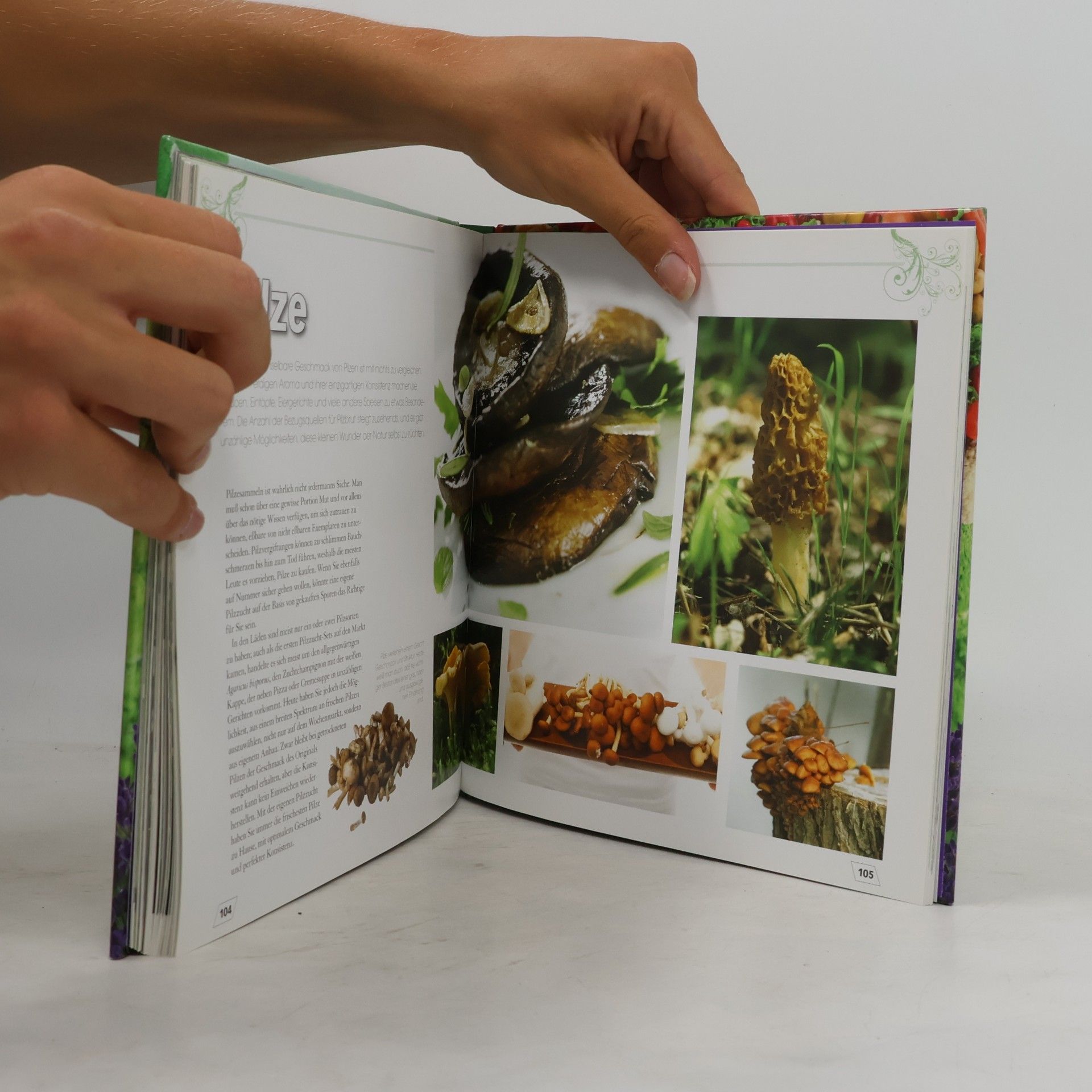 Virginia Hayes Mein Bio-Gourmet-Garten. Anpflanzen, Pflegen, Ernten und Genießen!