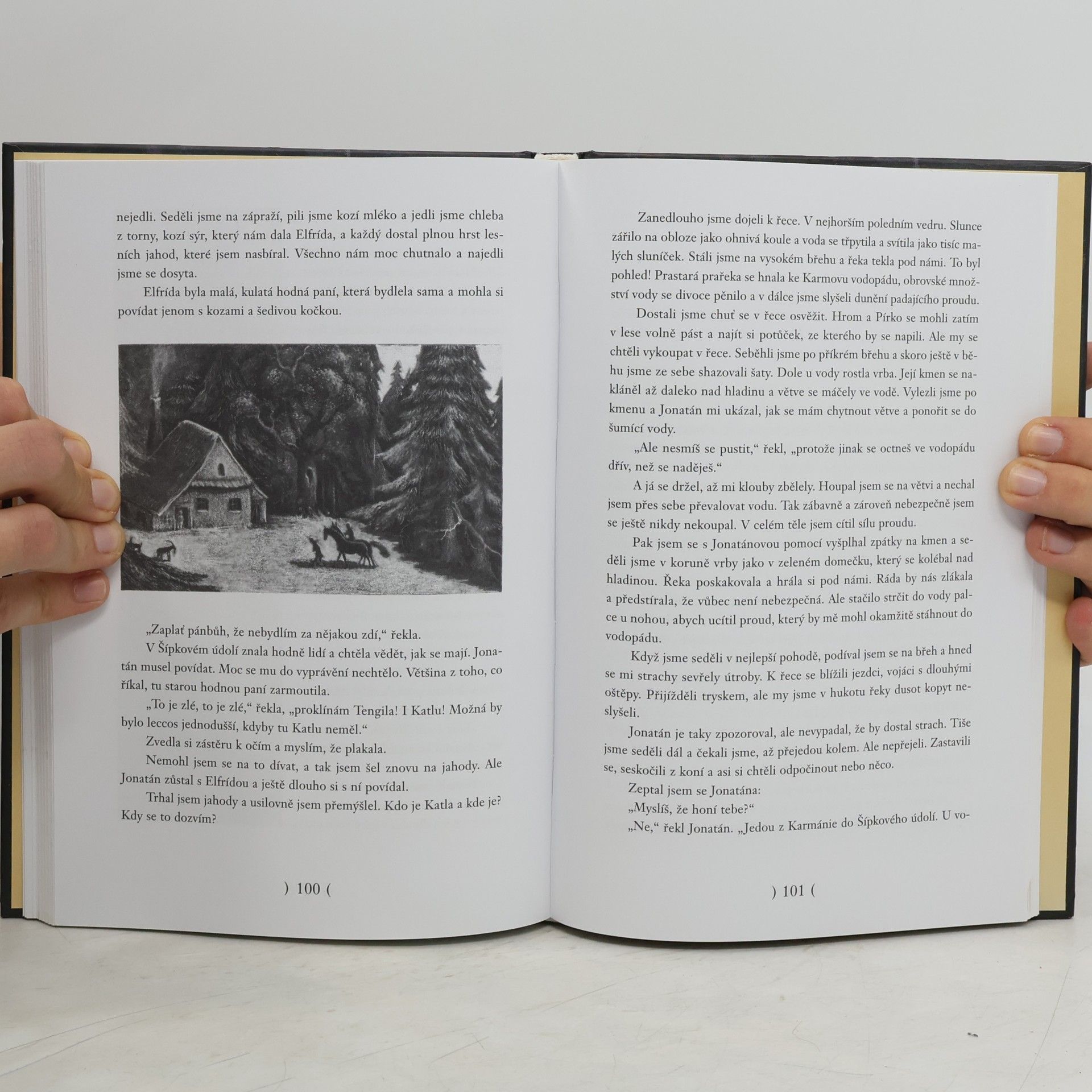 Astrid Lindgren Bratři Lví srdce