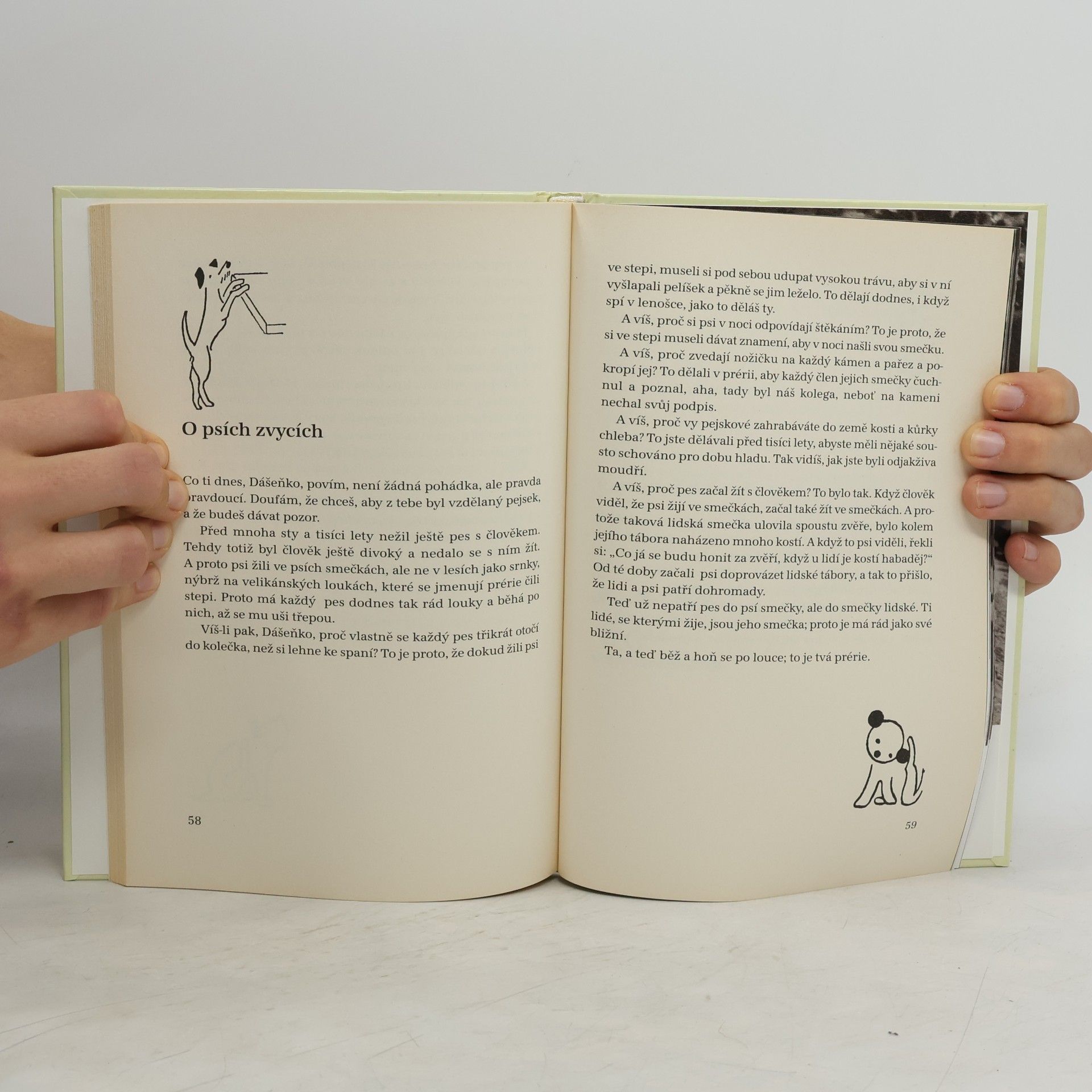 Karel Čapek Dášeňka čili život štěněte