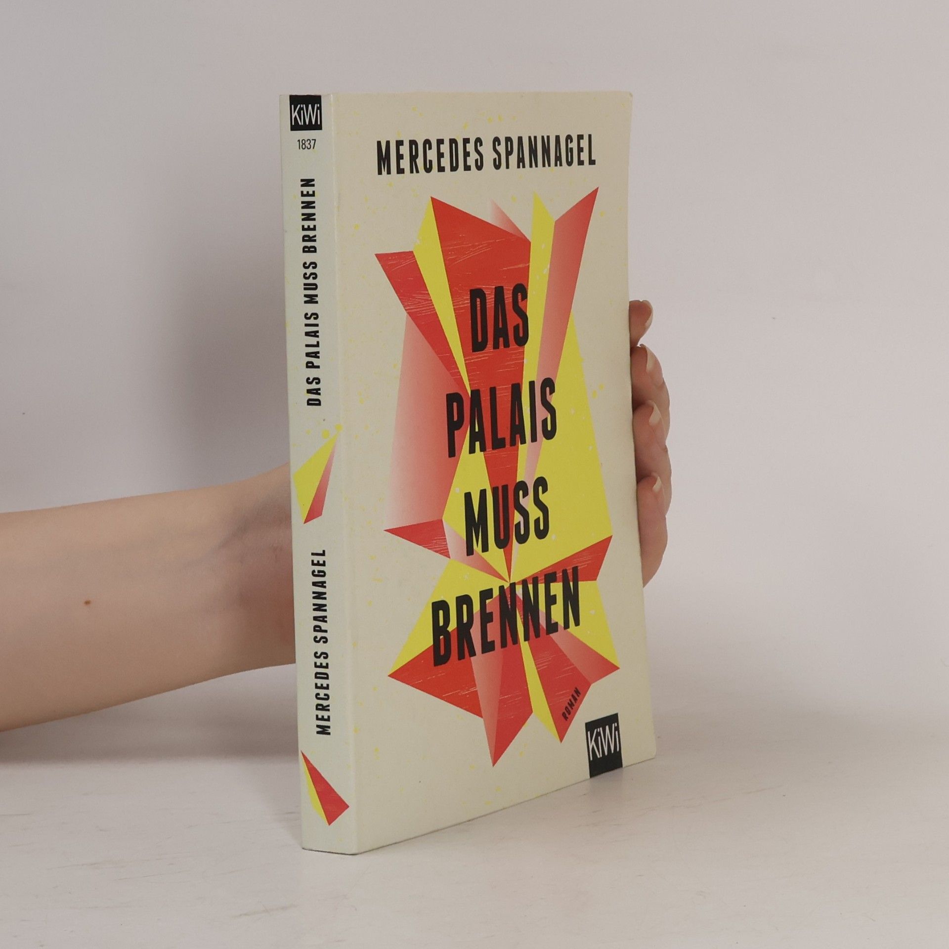Mercedes Spannagel Das Palais muss brennen