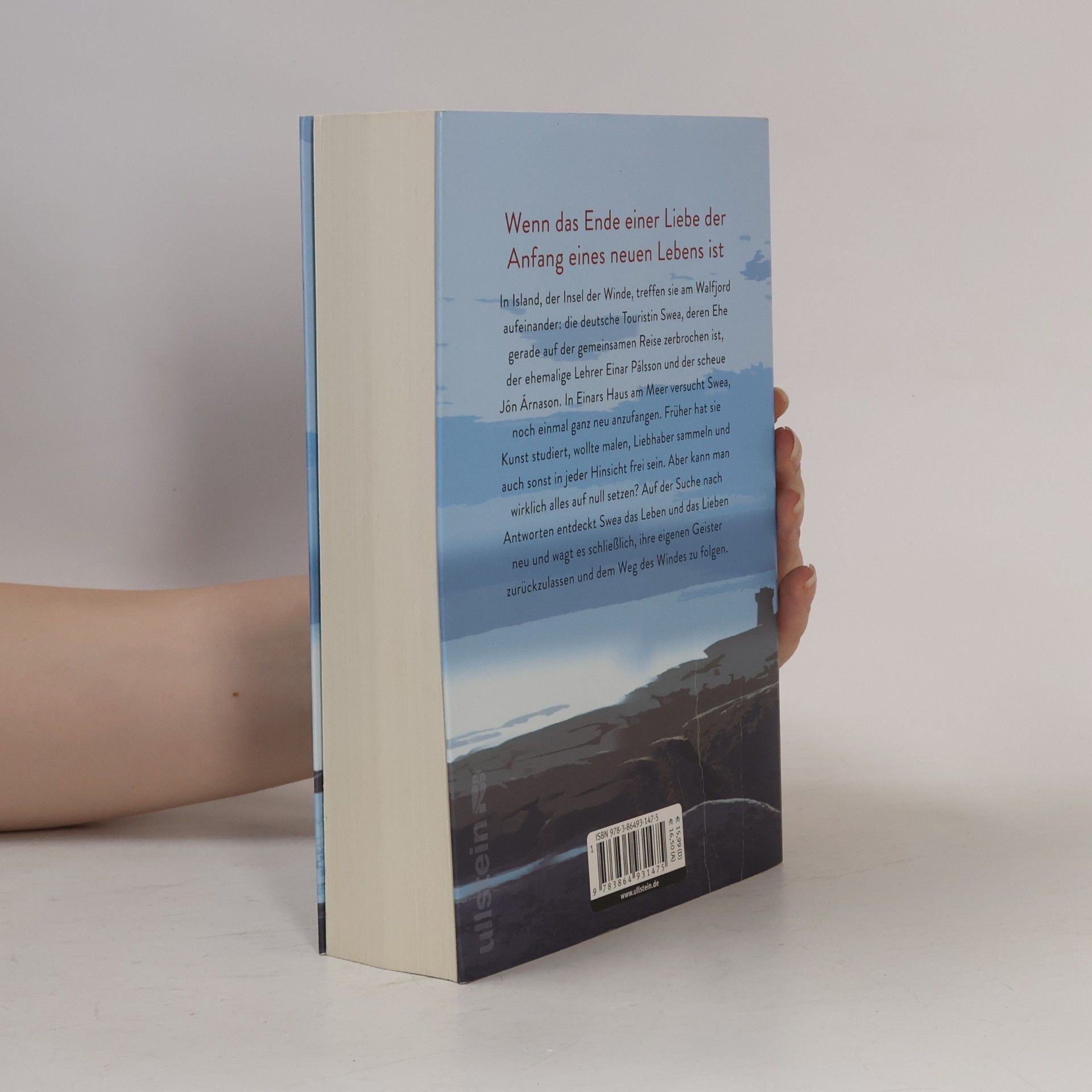 Nina Blazon Das Wörterbuch des Windes