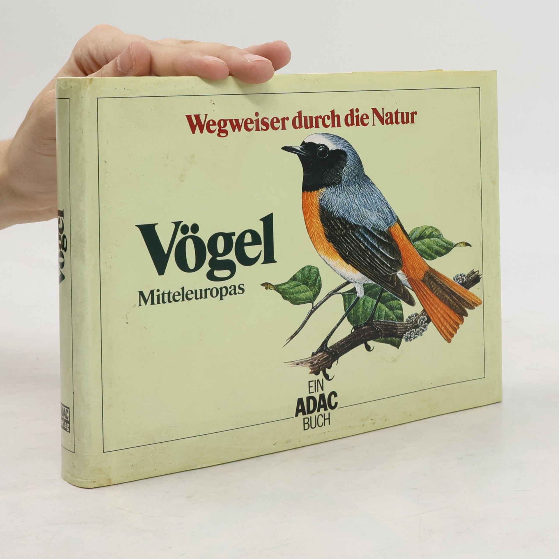 Claus König Vögel Mitteleuropas