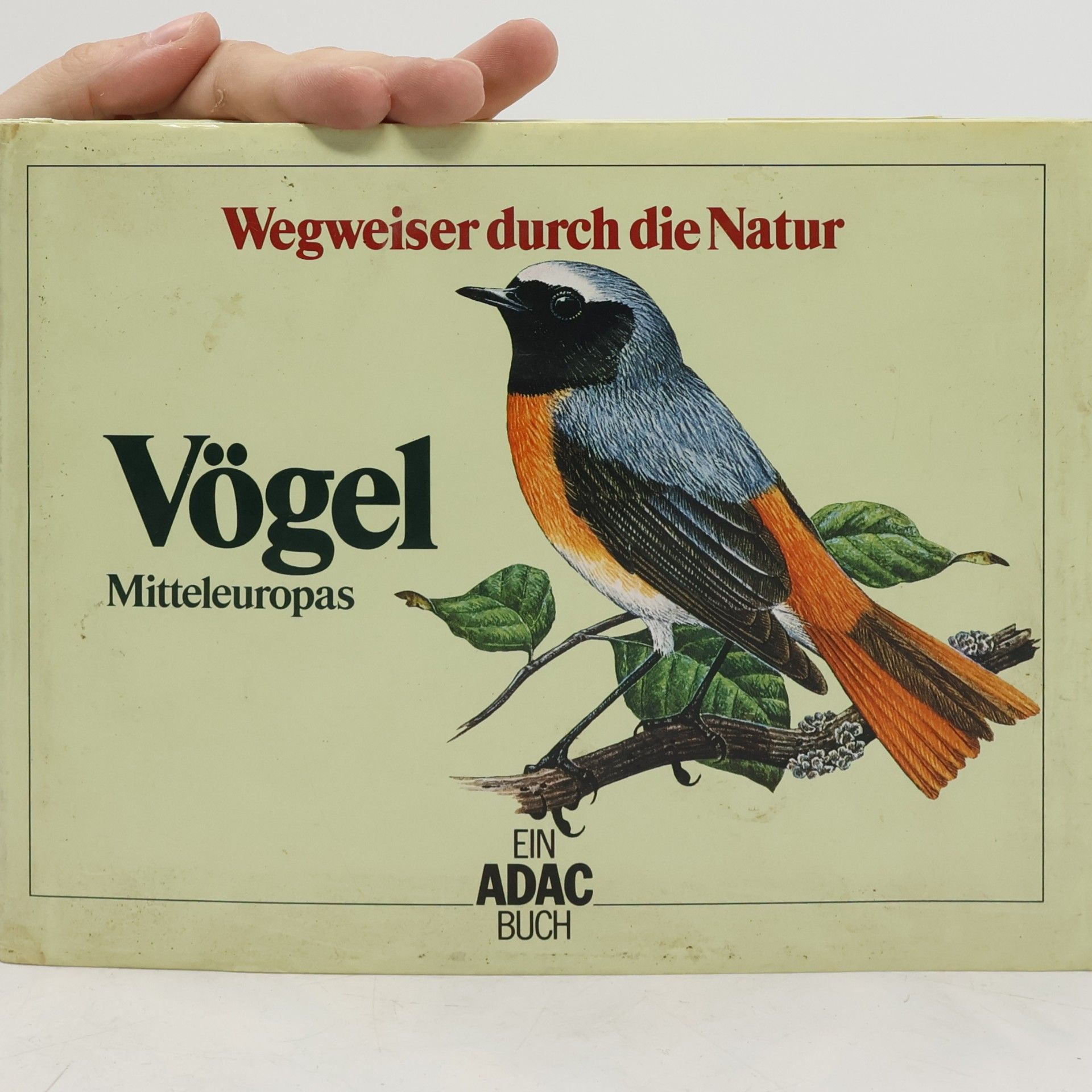 Claus König Vögel Mitteleuropas
