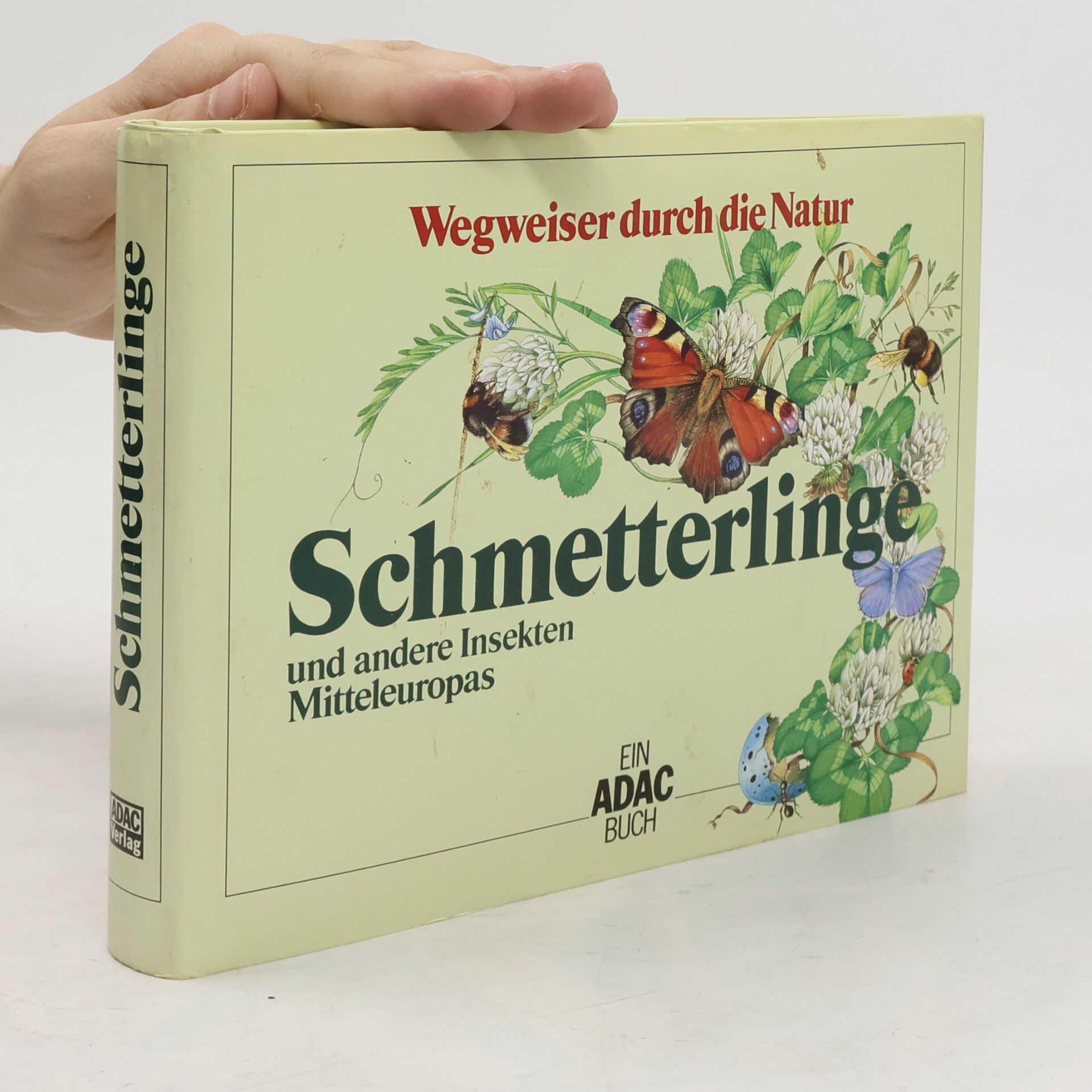 Edwin Möhn Schmetterlinge und andere Insekten Mitteleuropas