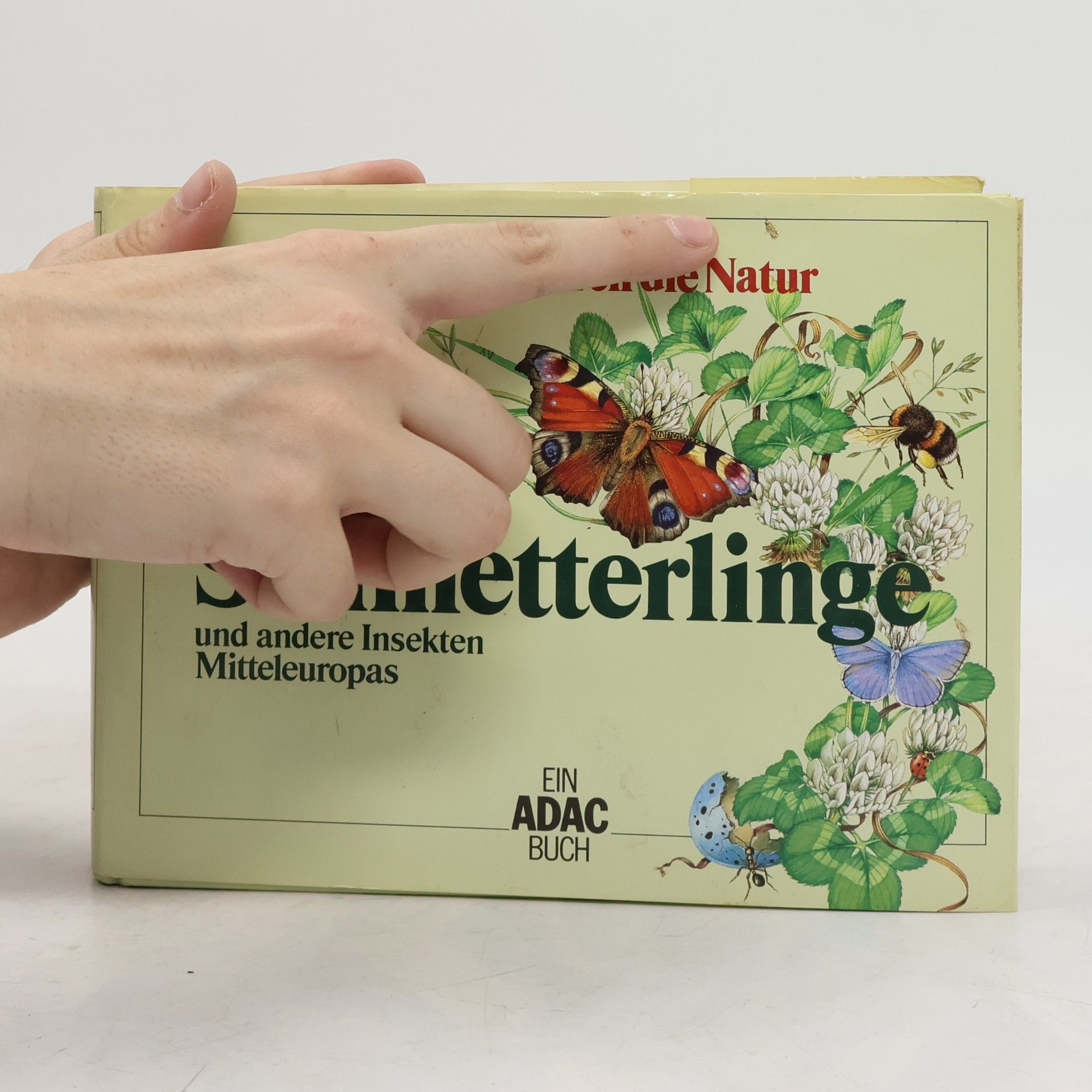 Edwin Möhn Schmetterlinge und andere Insekten Mitteleuropas