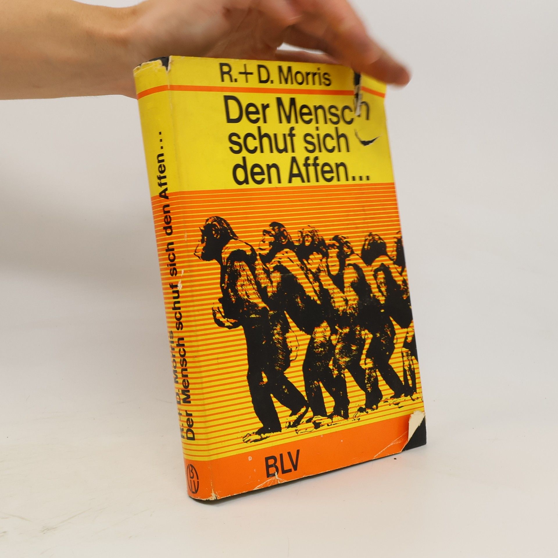 Der Mensch schuf sich den Affen...