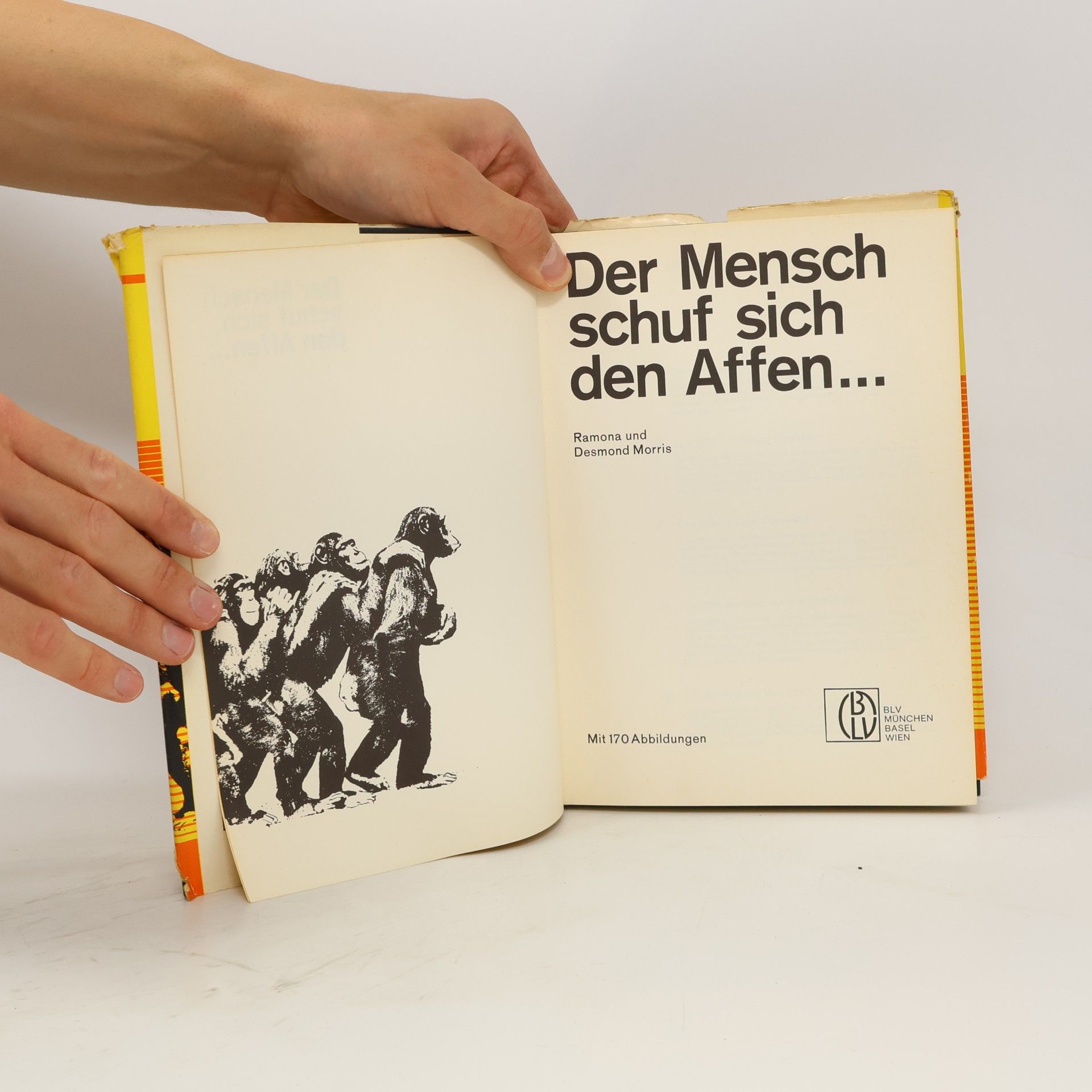 Desmond Morris Der Mensch schuf sich den Affen...