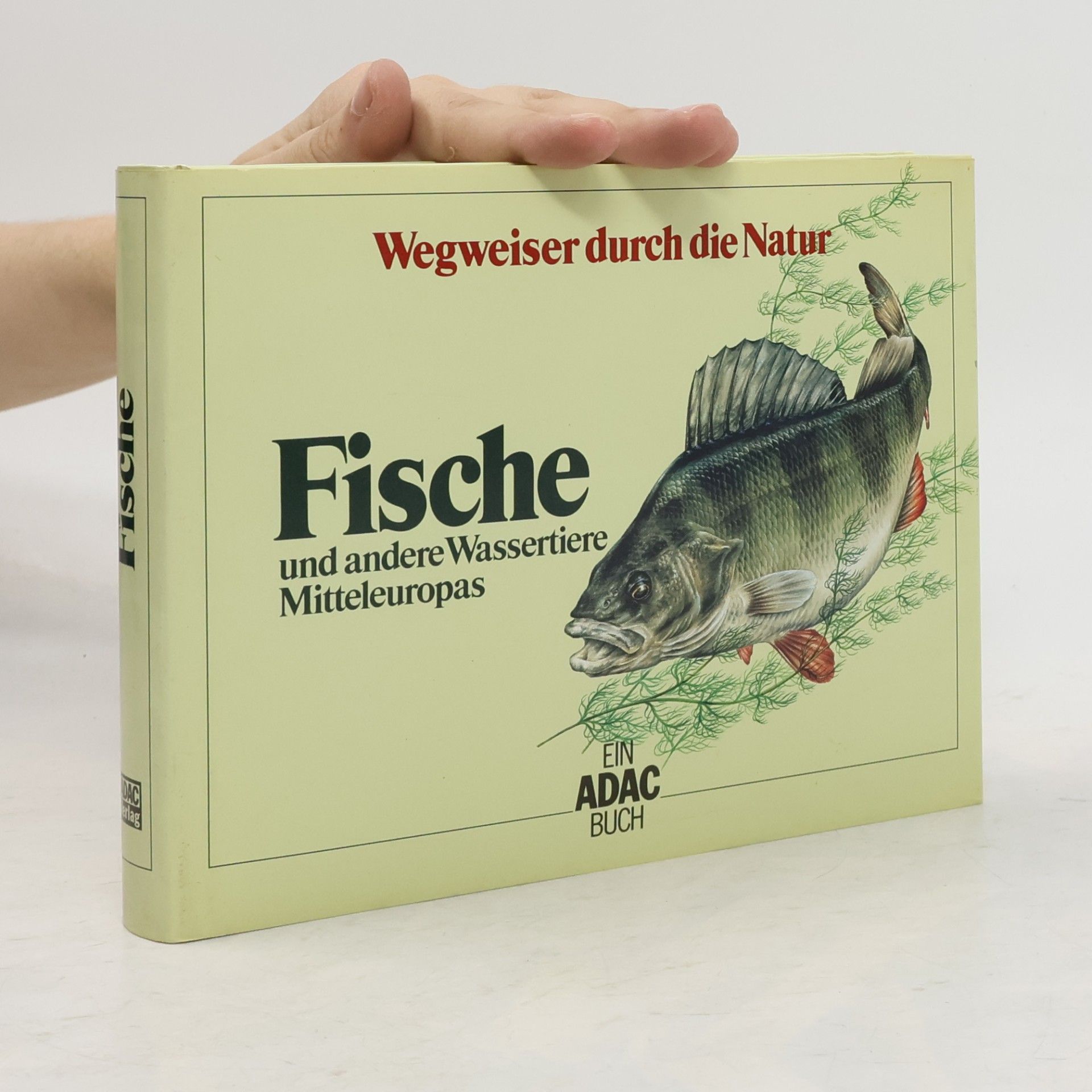 Hans Jürgen Flügel Fische und andere Wassertiere Mitteleuropas
