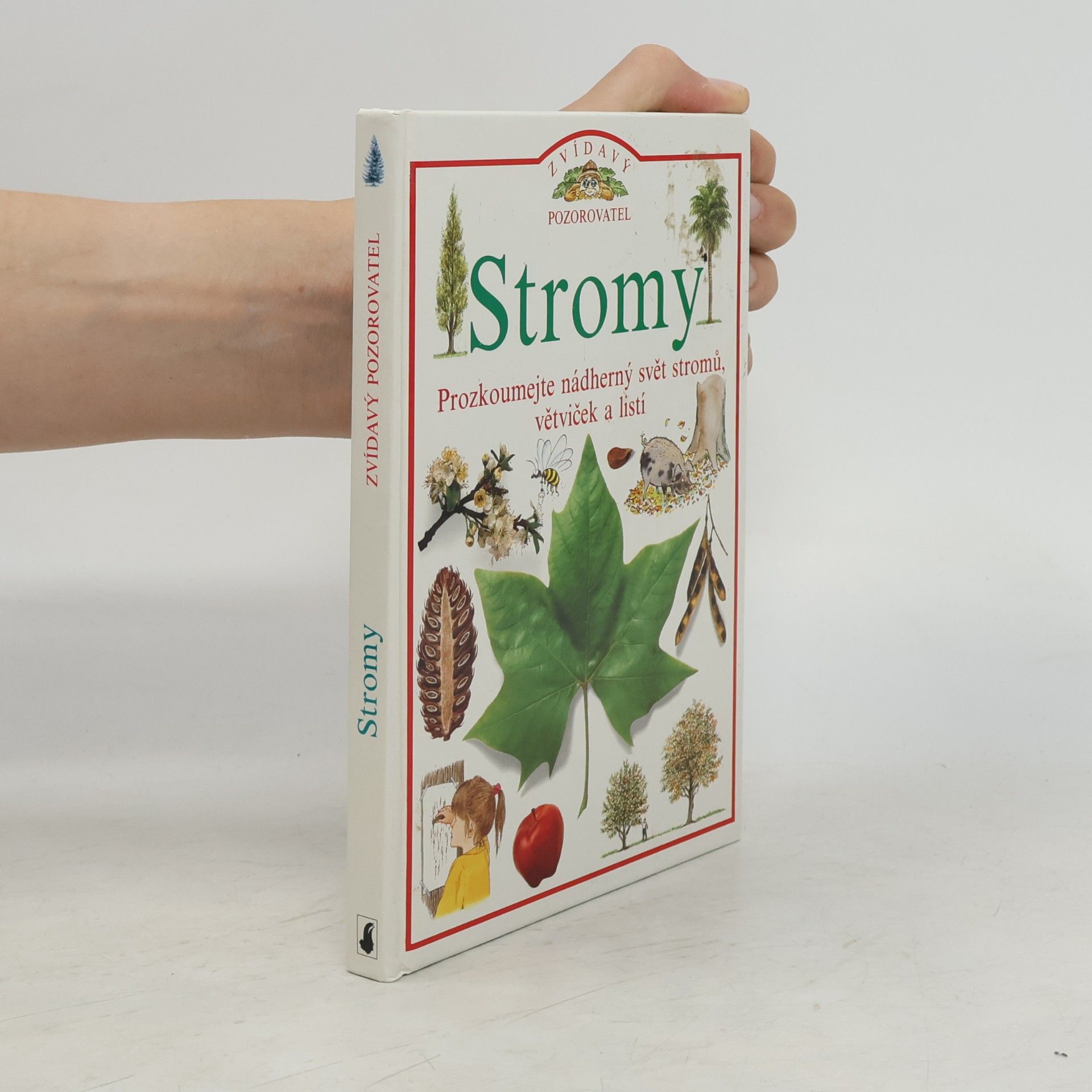 Autores varios Stromy