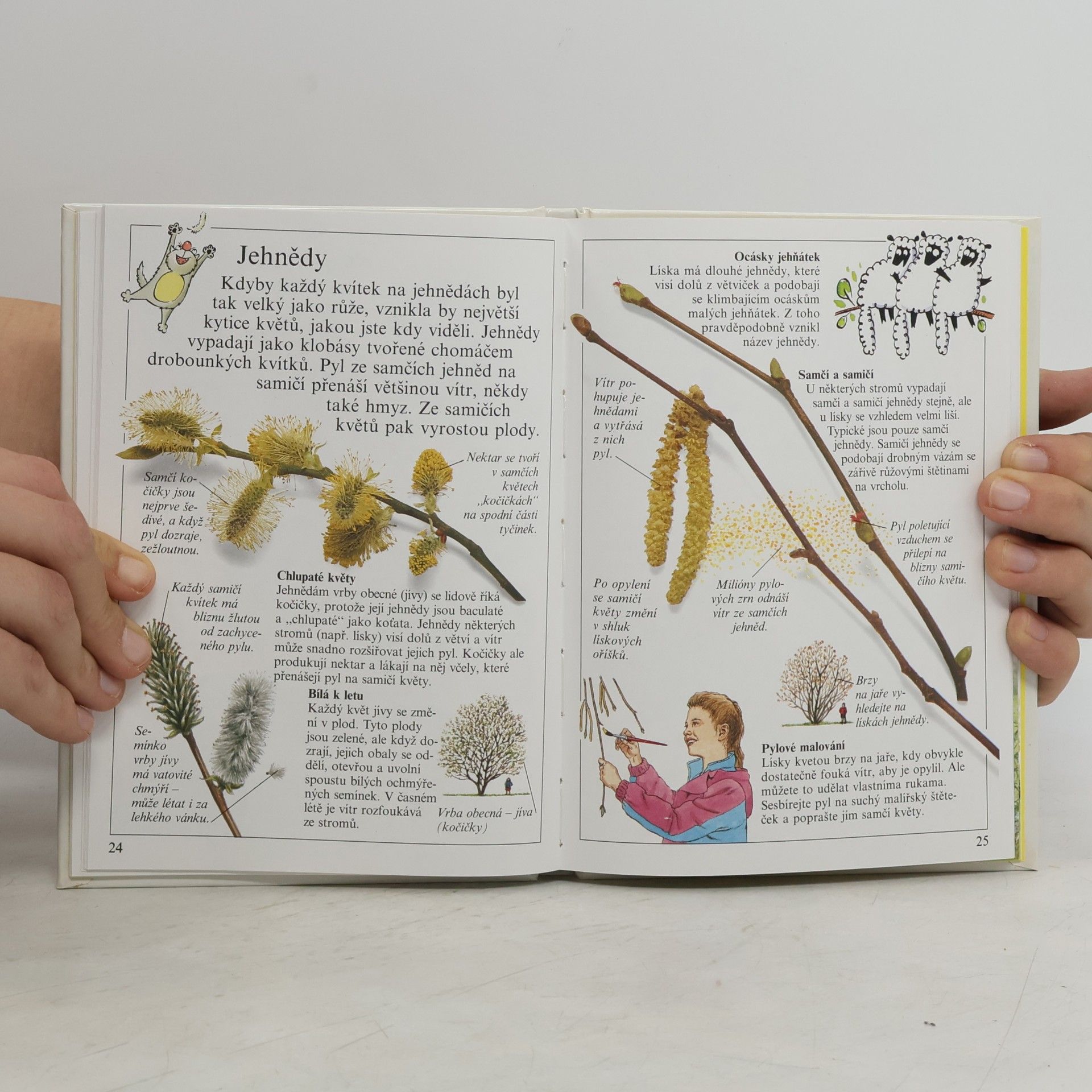 Autores varios Stromy