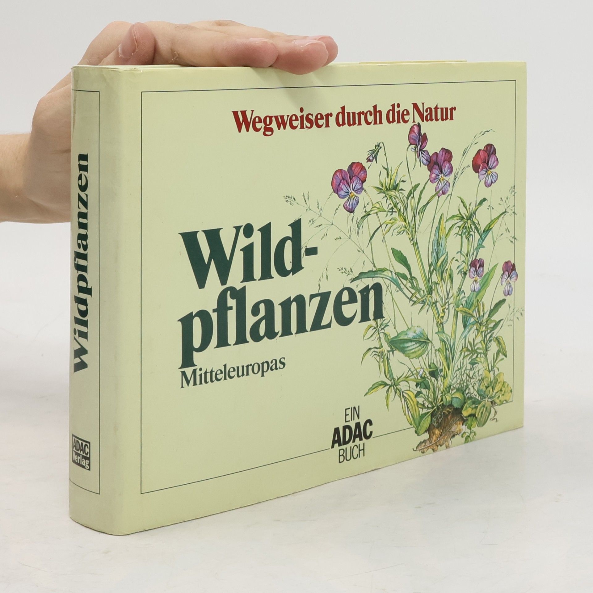 Oskar Sebald Wildpflanzen Mitteleuropas