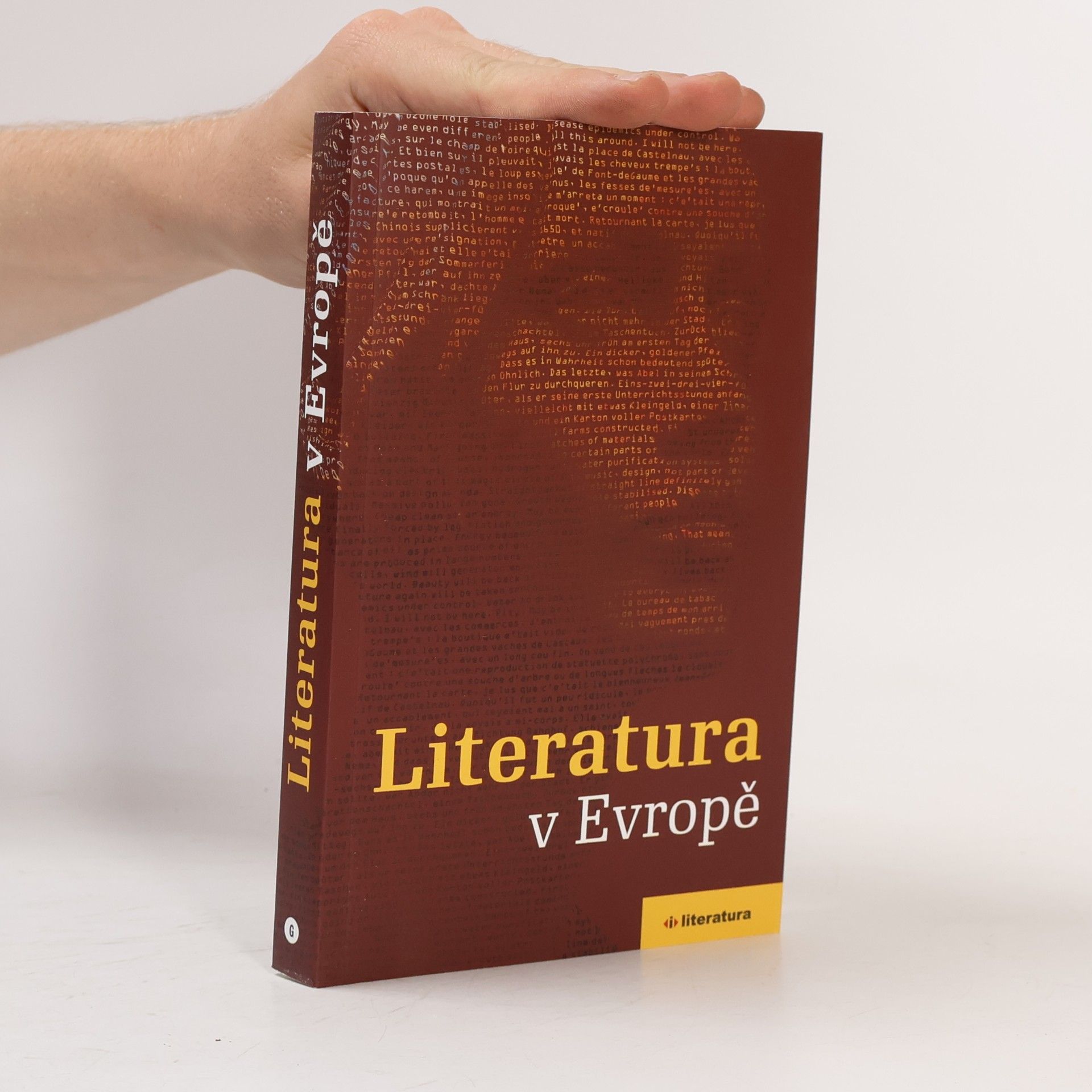Autorenkollektiv Literatura v Evropě