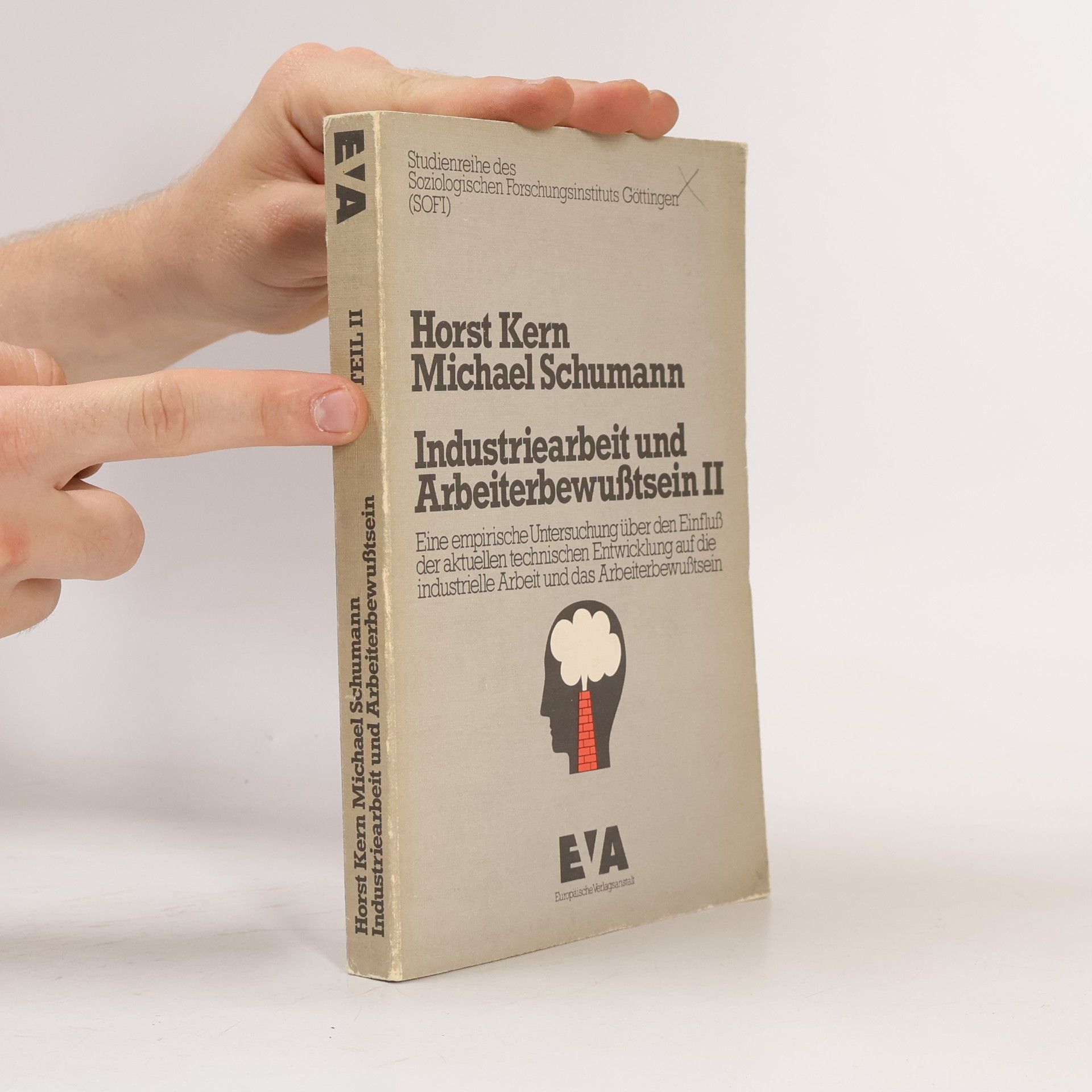 Horst Kern Industriearbeit und Arbeiterbewußtsein II
