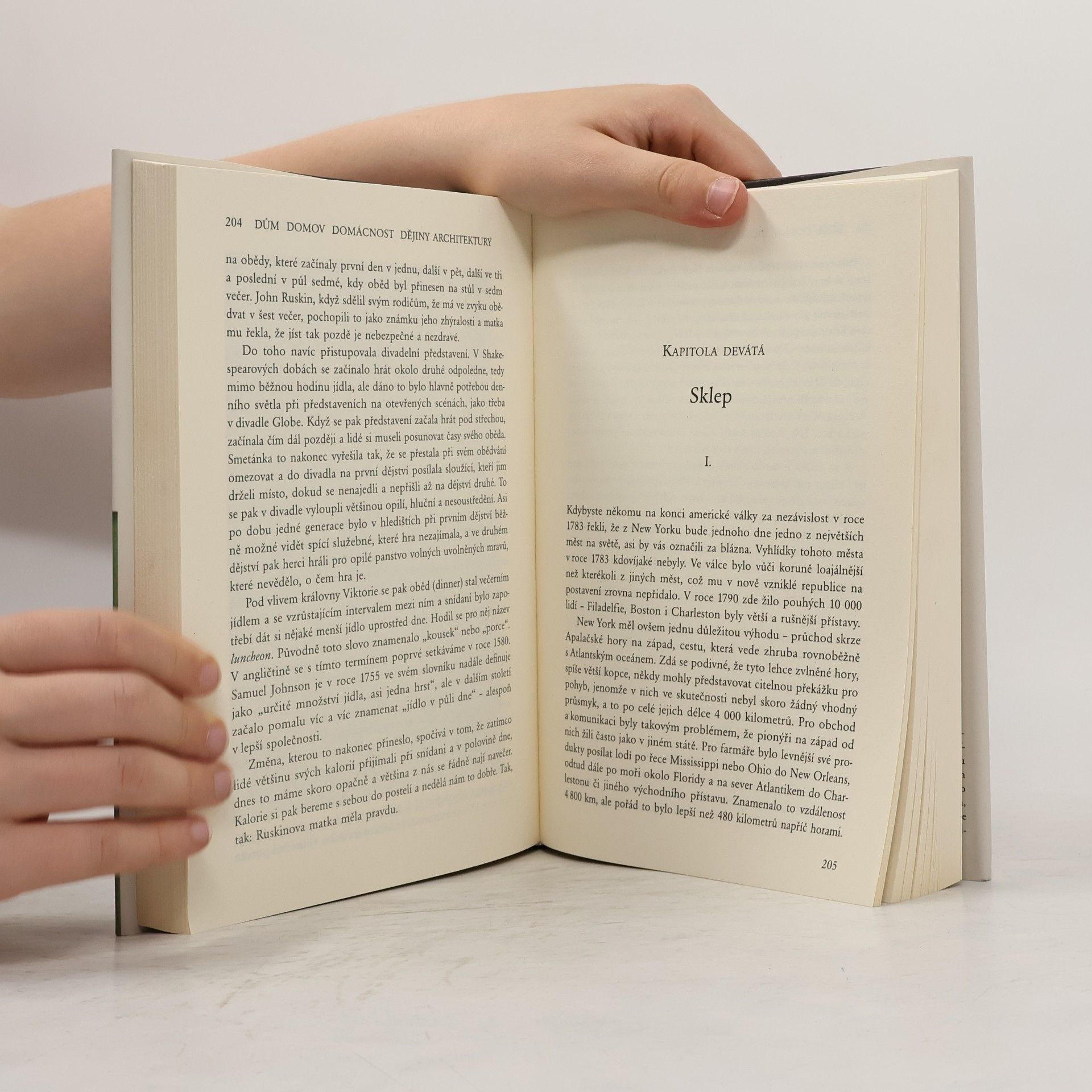 Bill Bryson Dům, domov, domácnost, dějiny architektury